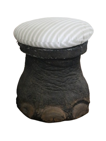 Collecting | Interior Objects