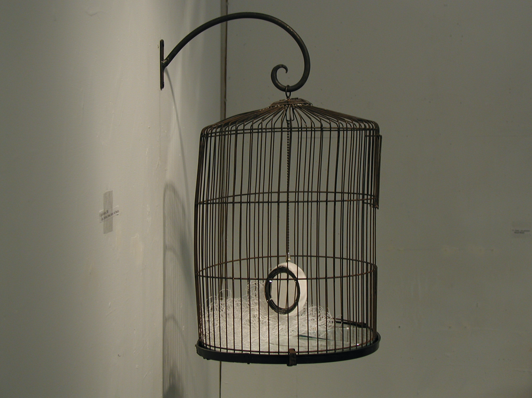 Screen Shot 2026-02-11 at 5.47.41 PM.png