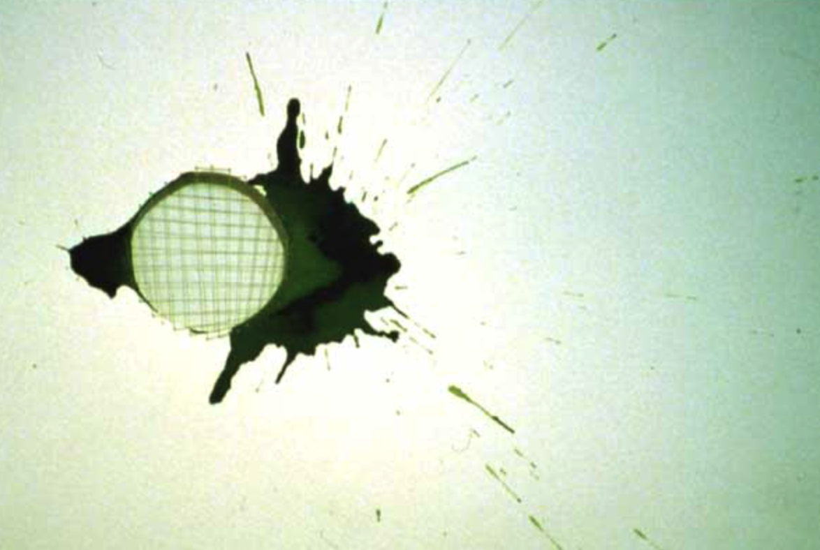 Screen Shot 2026-02-11 at 5.48.43 PM.png