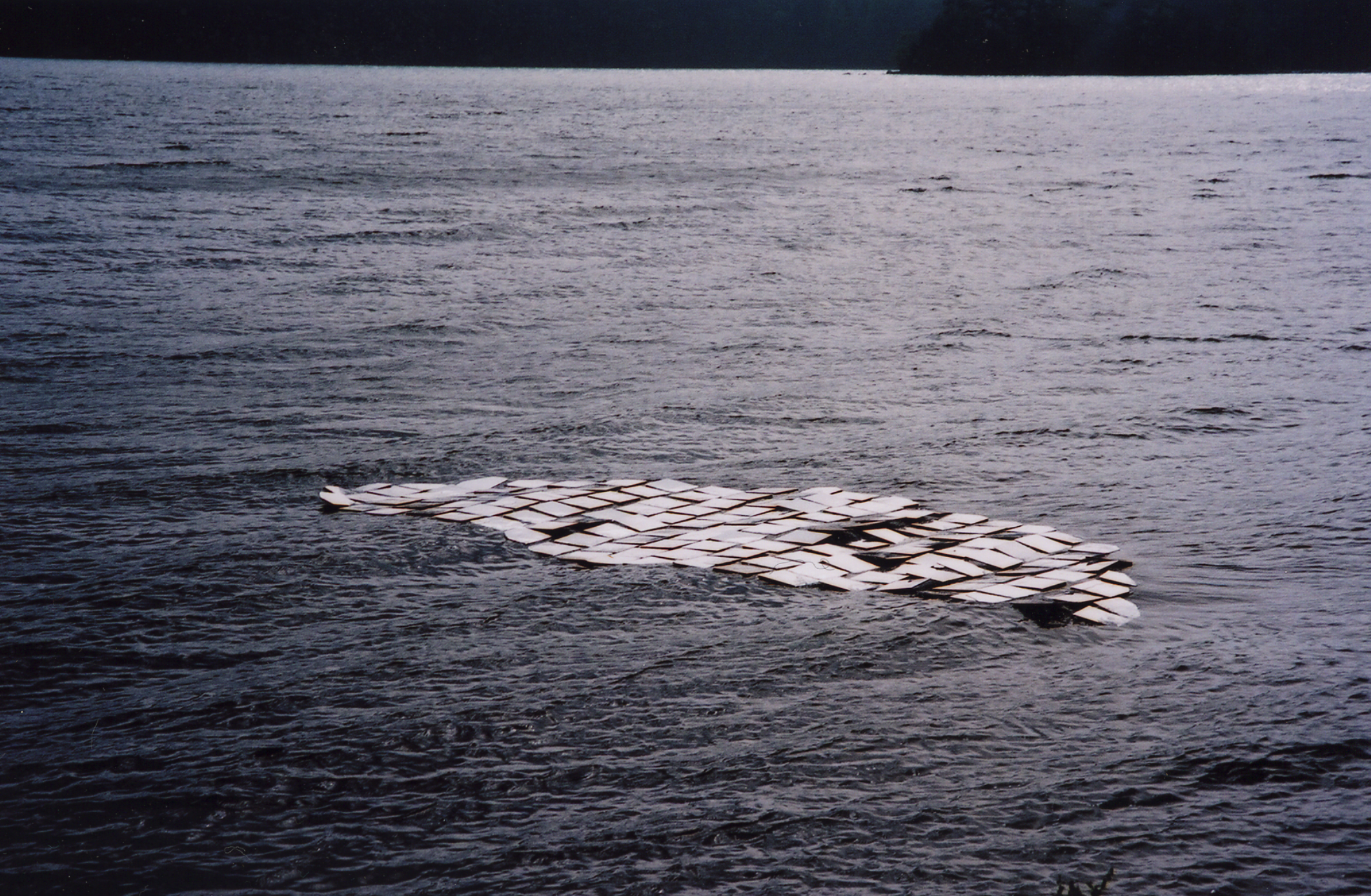 Screen Shot 2026-02-11 at 5.57.00 PM.png