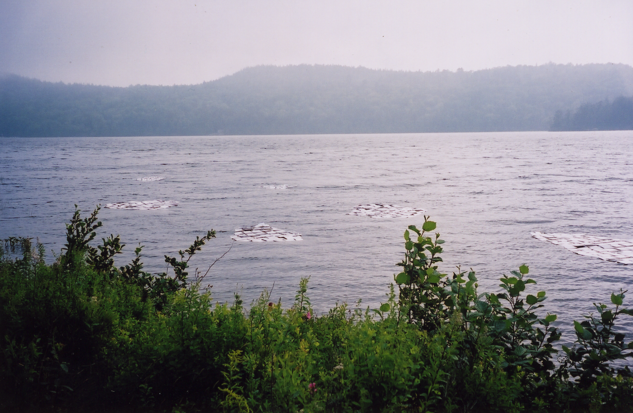 Screen Shot 2026-02-11 at 5.56.43 PM.png