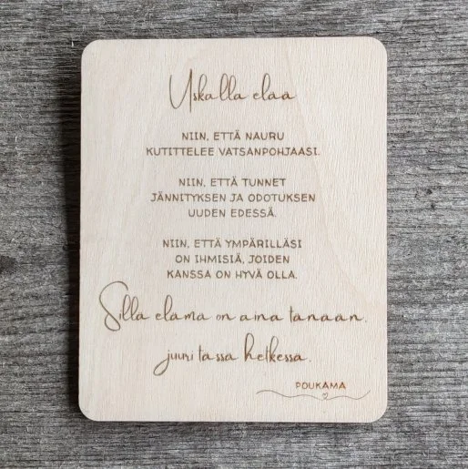 magneetti-uskalla-elaa-koivu.jpg