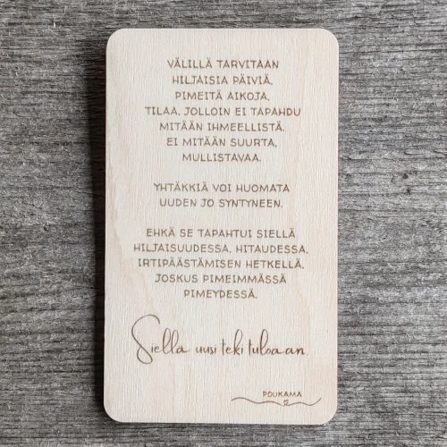 magneetti-siella-uusi-teki-tuloaan-koivu.jpg