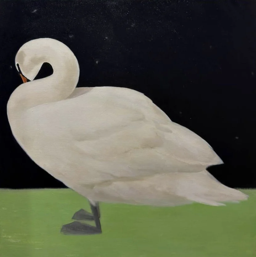 "Shape shifting" | oil on canvas | 90 x 90 cm (2025)