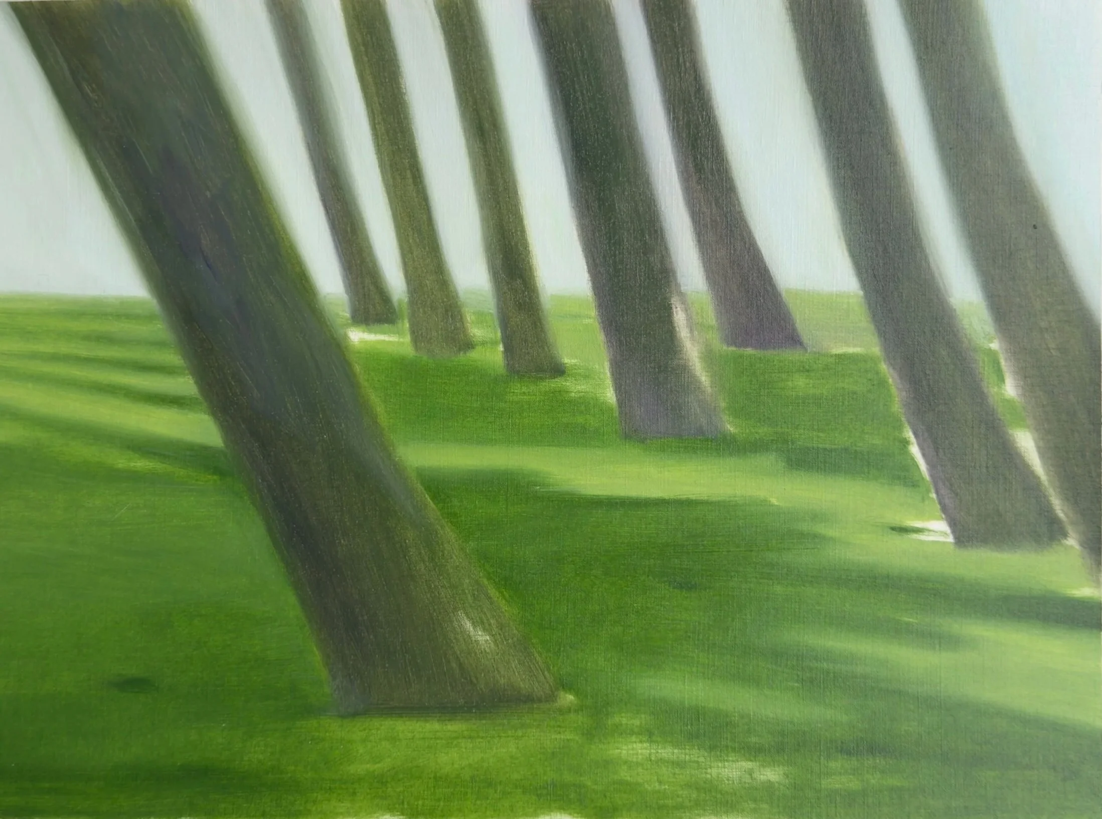 “Trees in park” | oil on paper | 30 x 40 cm (2026)