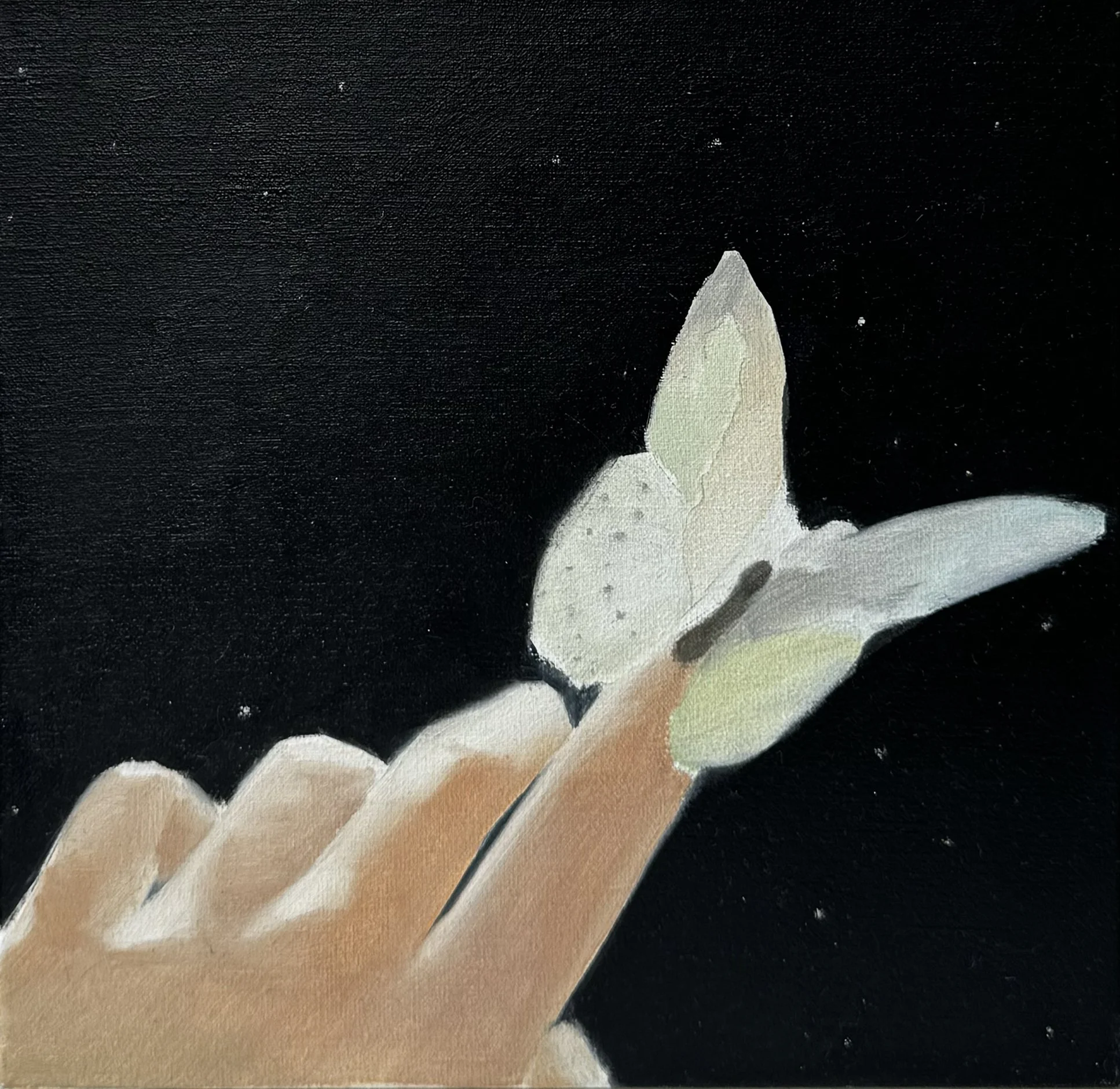 "Shape shifting ||" | oil on canvas |  25 x 25 cm (2025)