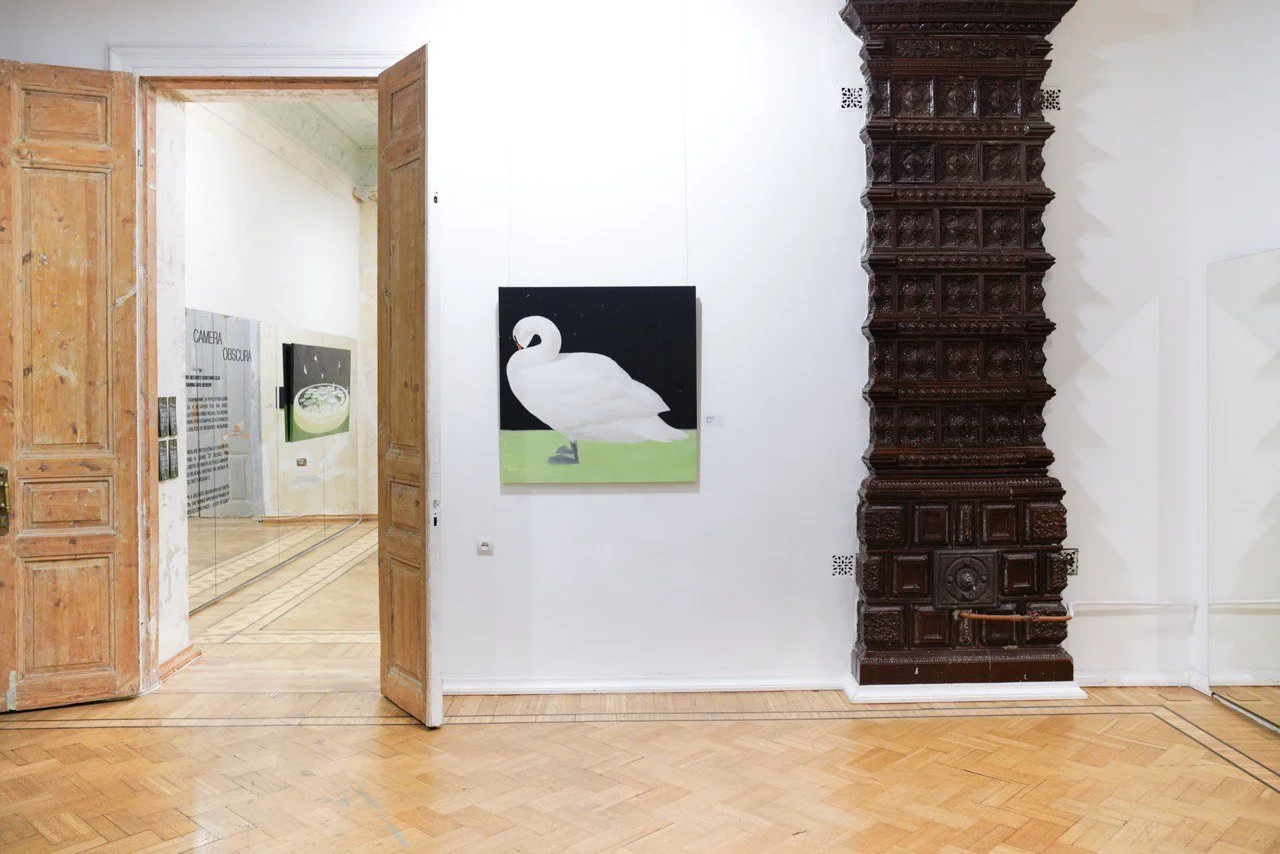 photo_2026-01-02 17.14.48.jpeg