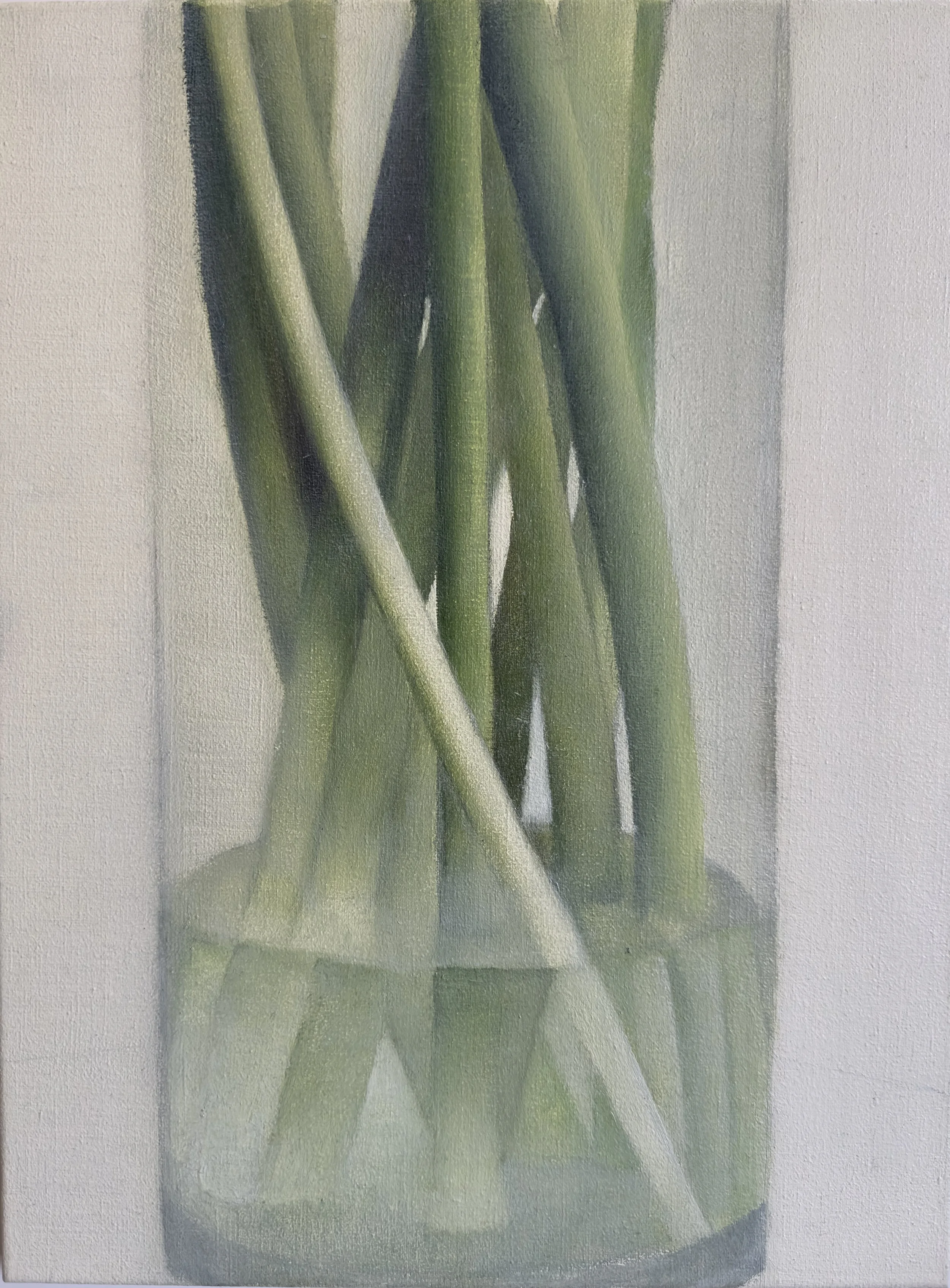 "Spring" |
oil on canvas | 30 x 40 cm (2024)