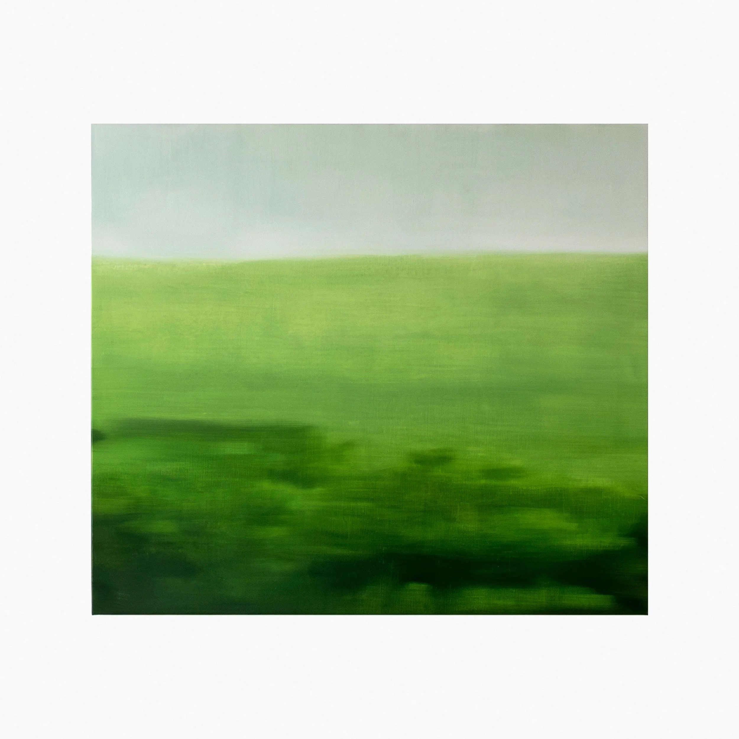 "Shadows on the grass" | oil on canvas | 96,5х109,5 cm