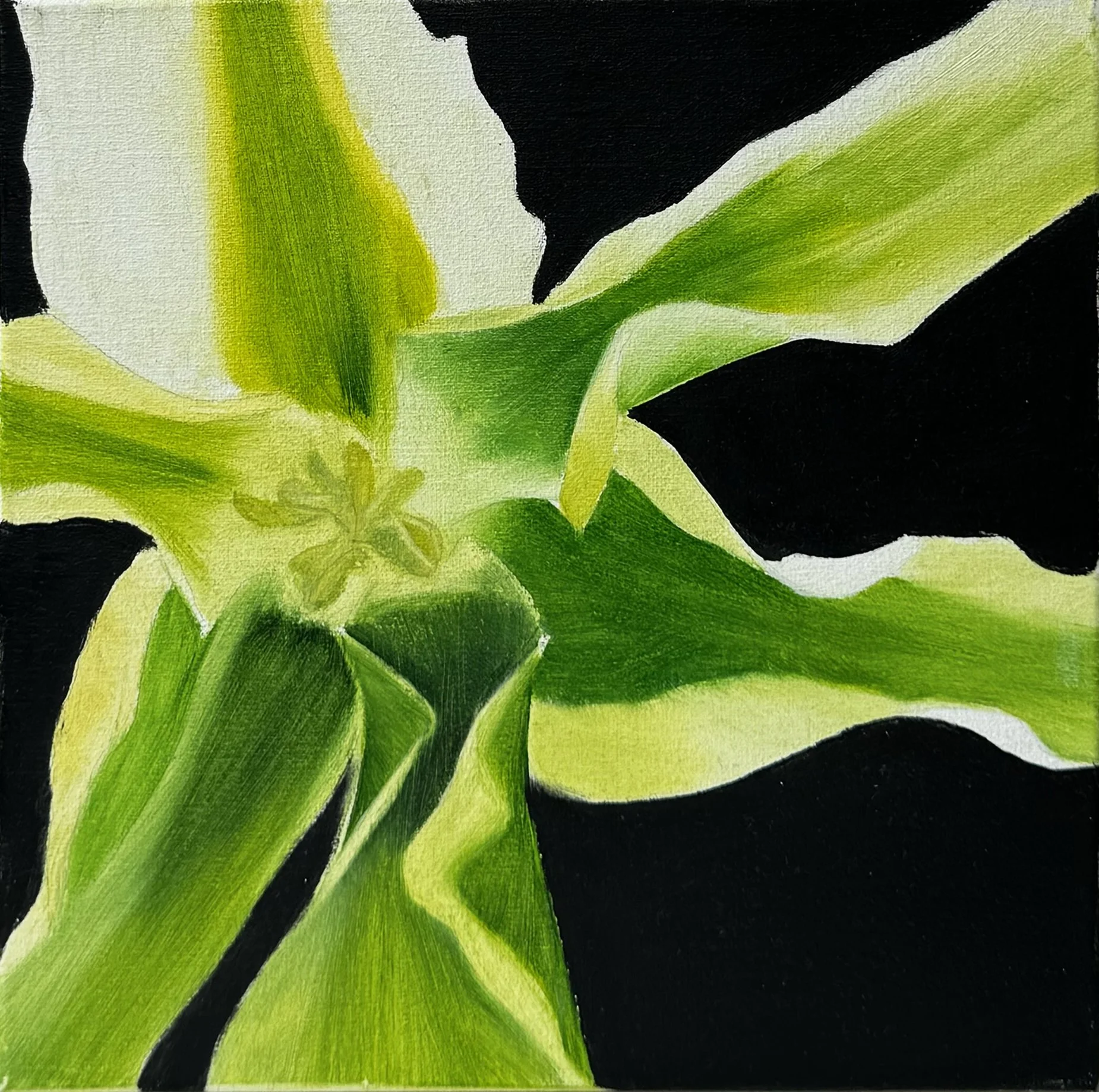 "Inside a flower " | oil on canvas | 25 x 25 cm (2025)