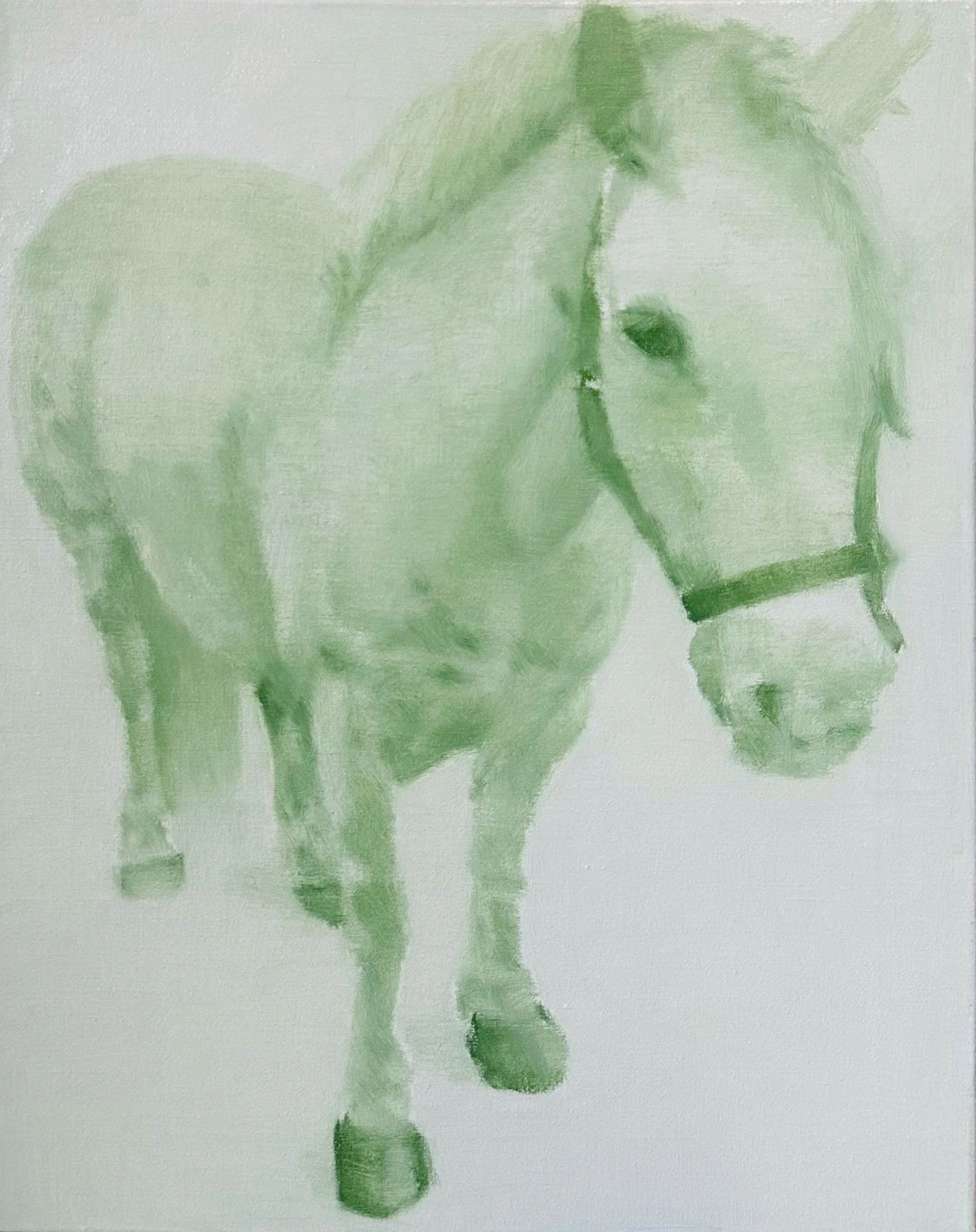 "Horse from a Castle" |
oil on canvas | 50 x 40 cm (2024)