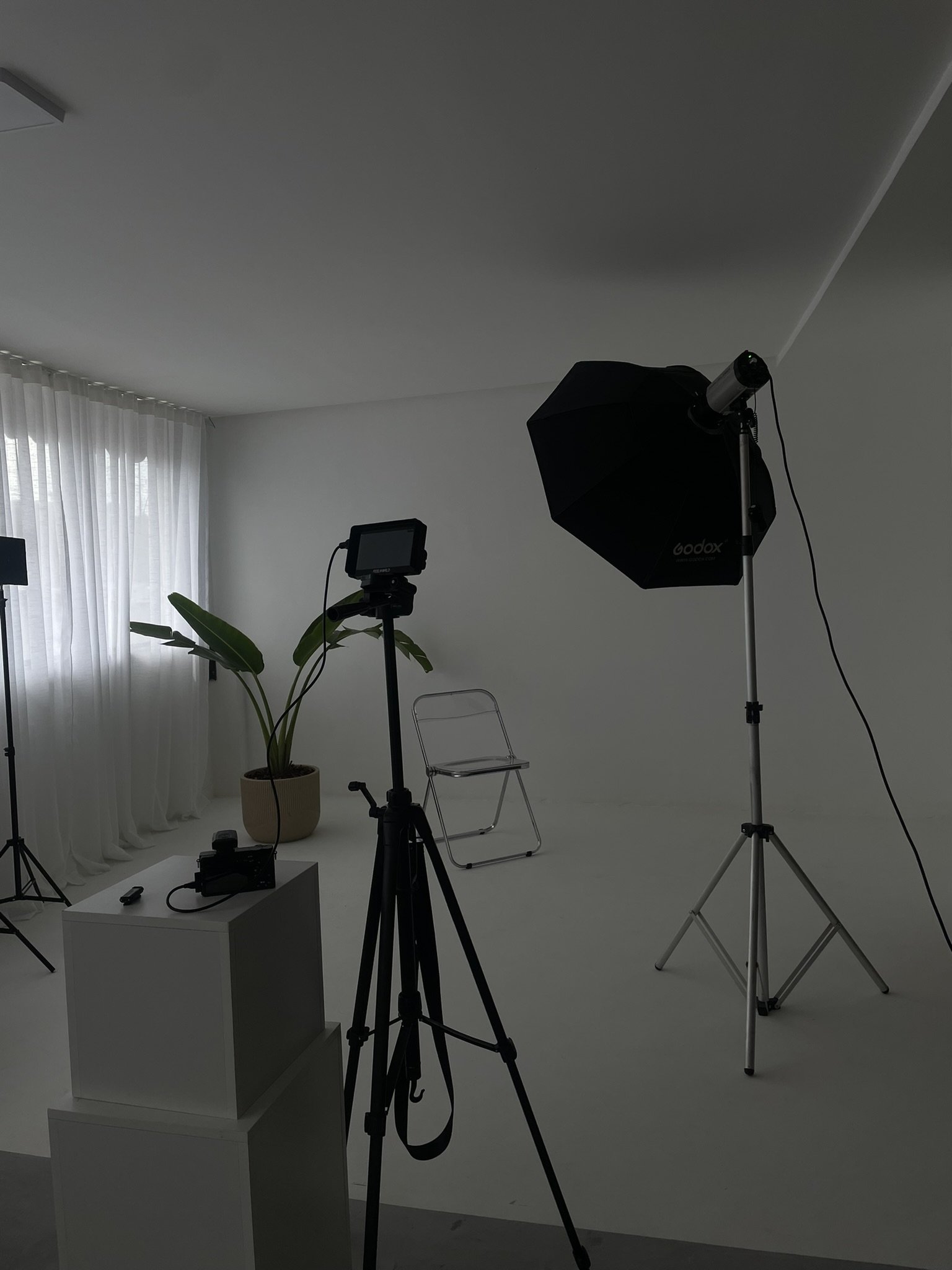 Photography studio setup with lights, tripods, a chair, a green plant, and white curtains in a bright room
