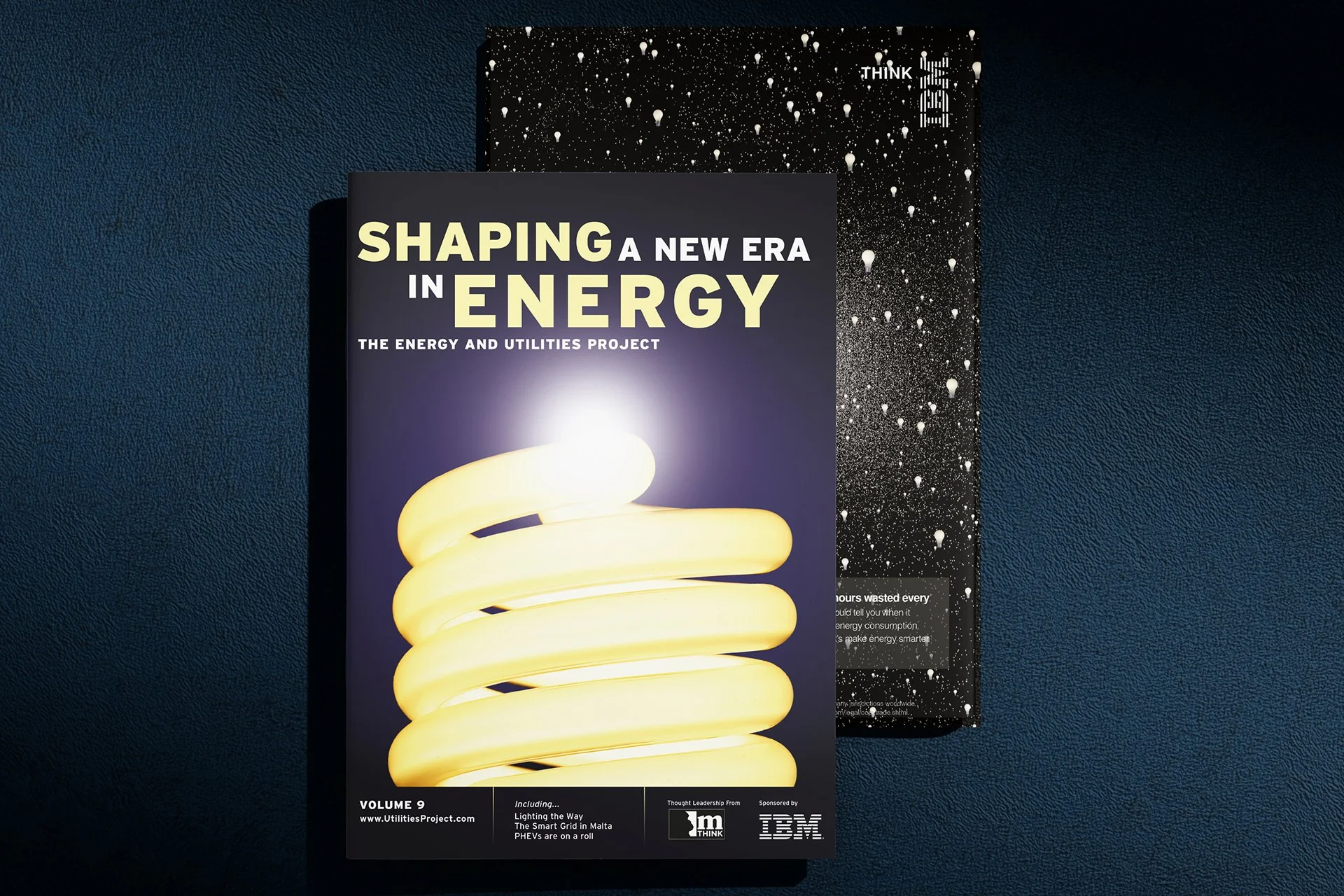 Portfolio_Brands_IBM.jpg