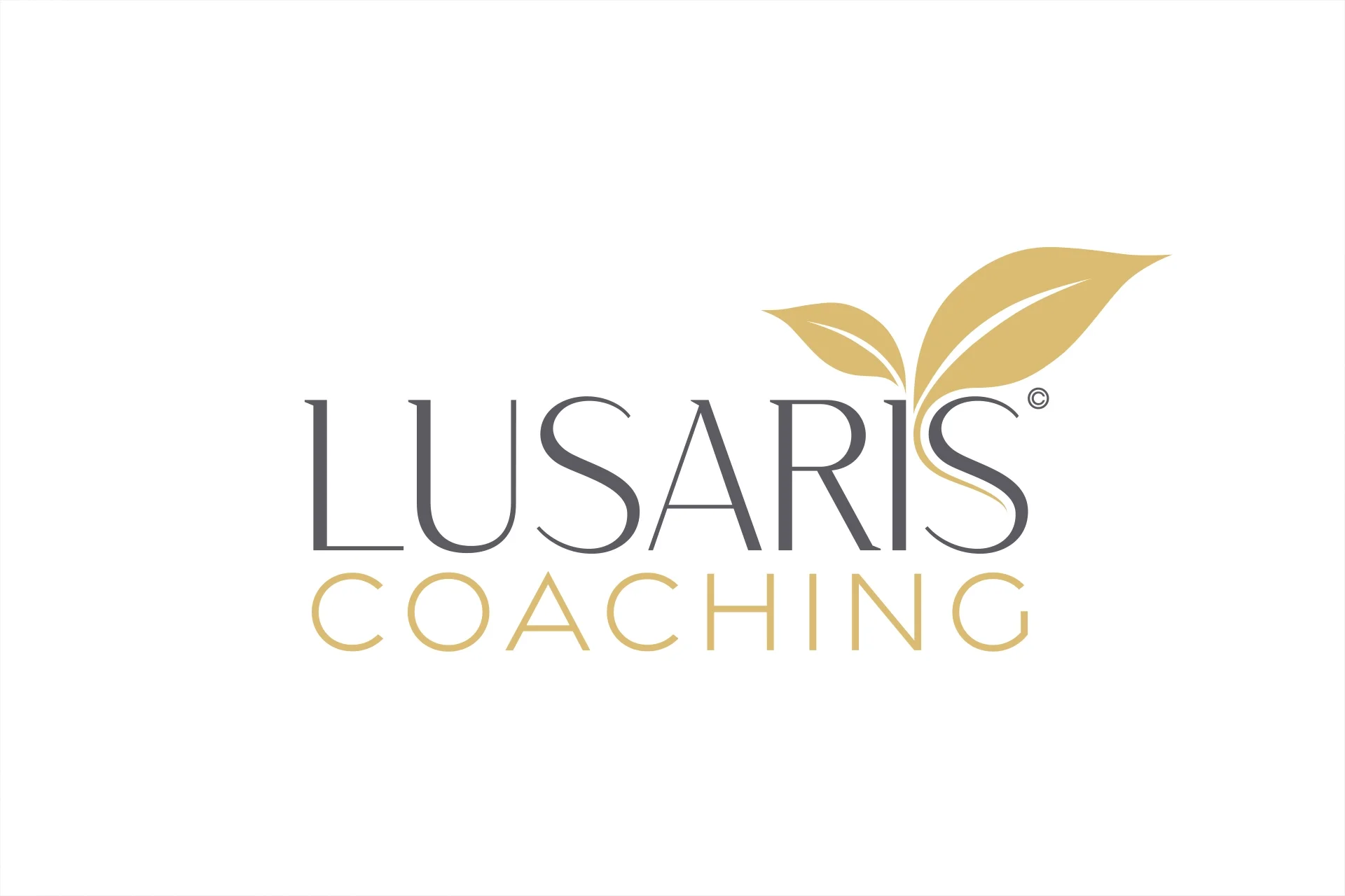 CCS_Portfolio_logos_Lusaris.webp
