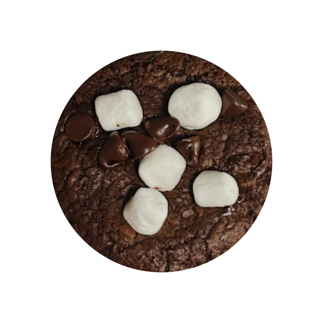 Hot Cocoa + Marshmallows