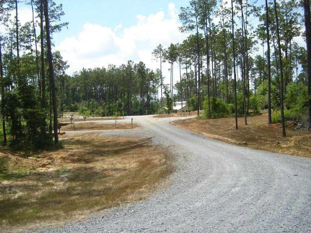 A gravel road bends through a rural area with sparse grass and tall pine trees, leading to a house in the distance under a partly cloudy sky.