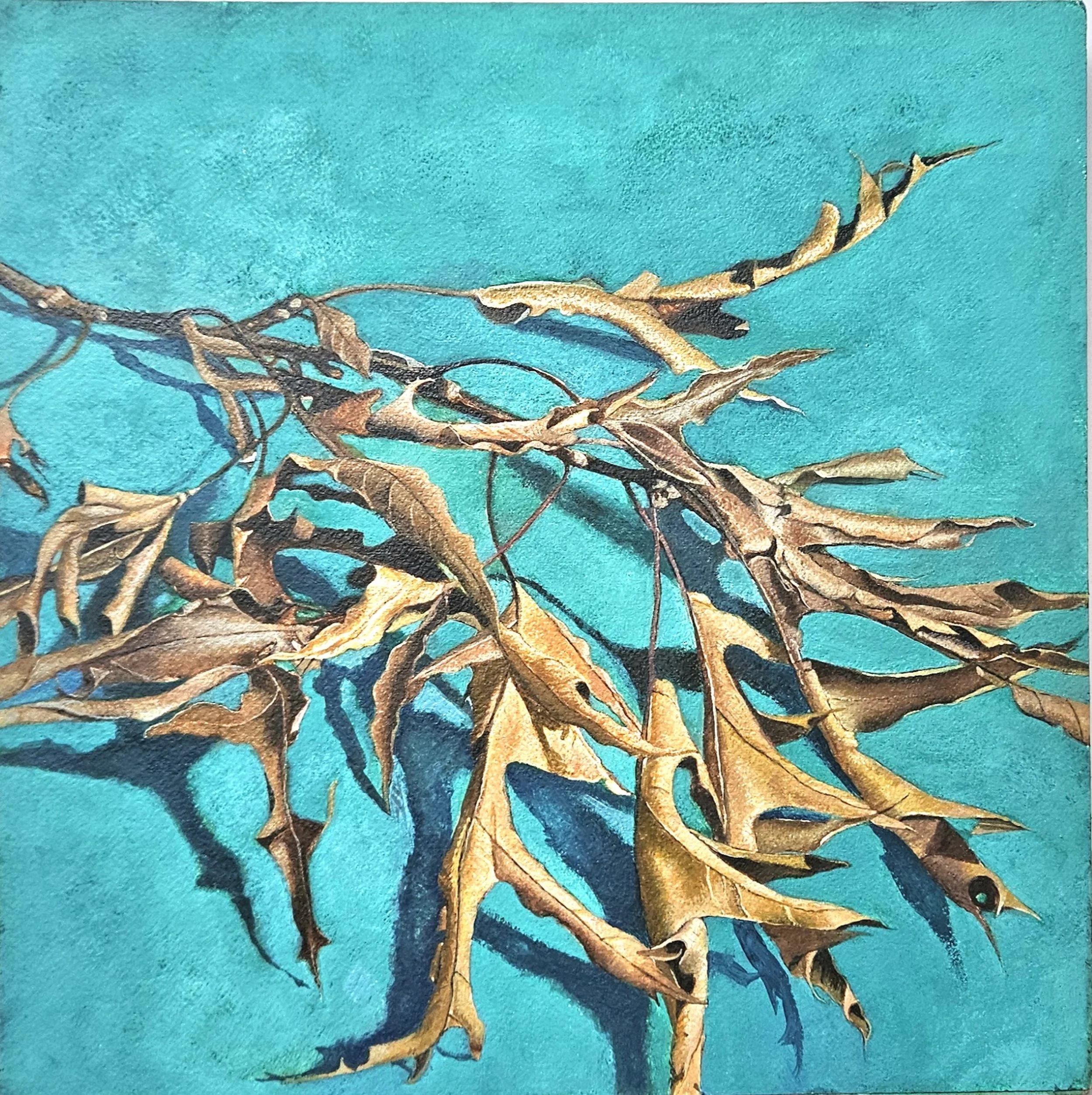 Oak branch on turquoise, watercolor, 11 x 13, 2024
