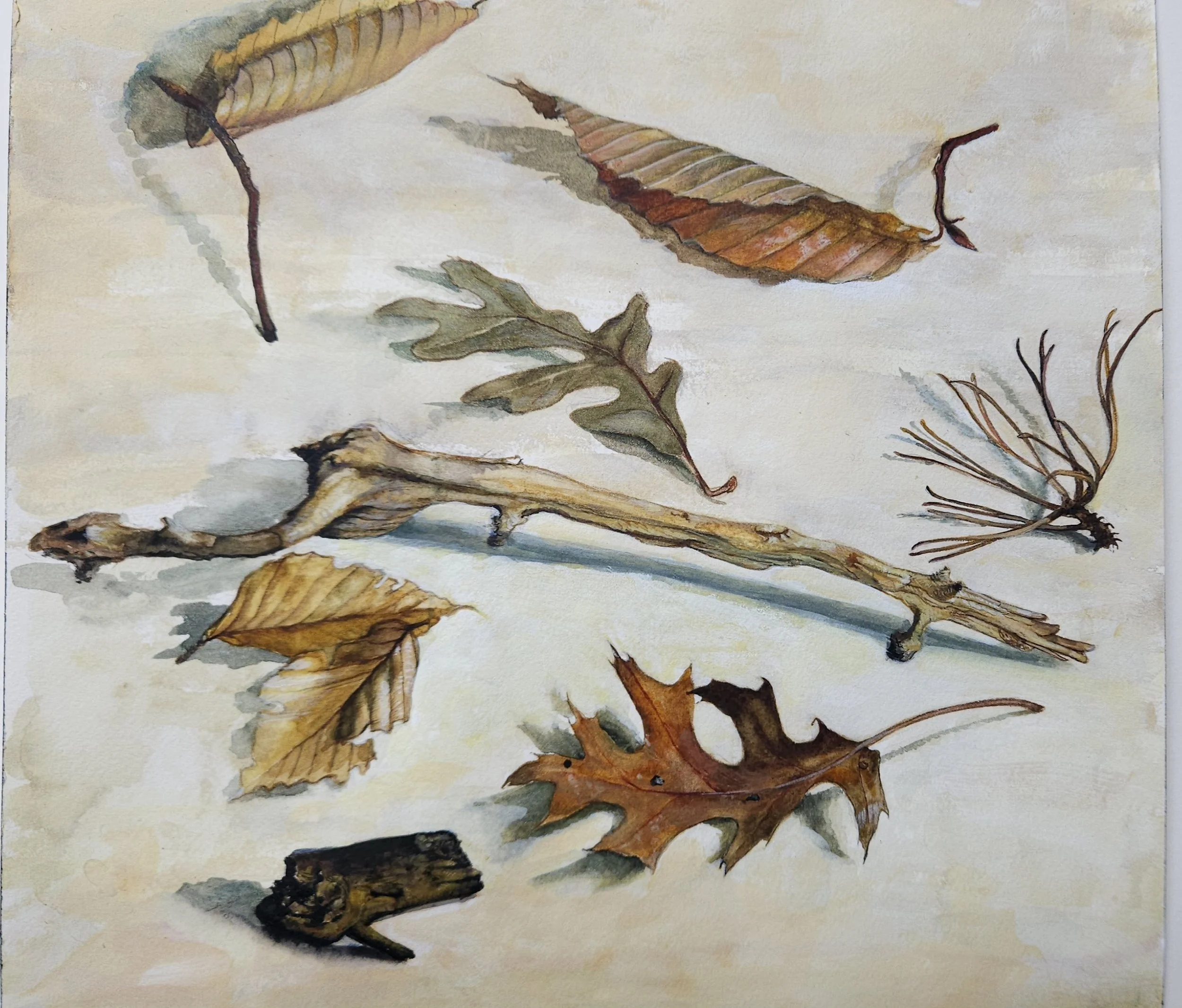 Long stick, short stick, watercolor, 13 x 13" 2023