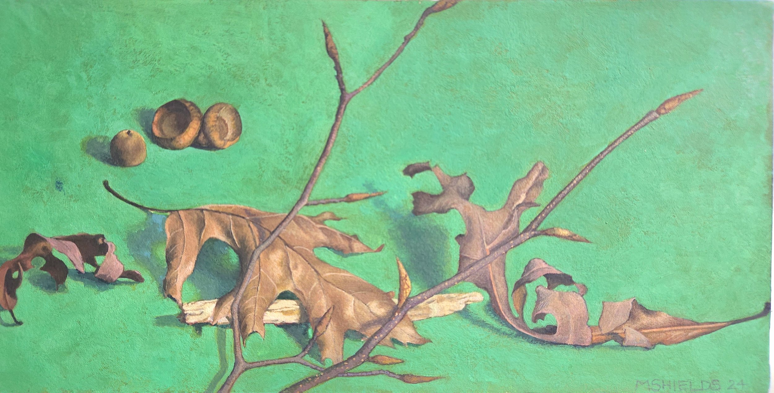 Beech branch, acorns on green, egg tempera, 6 x 12", 2024