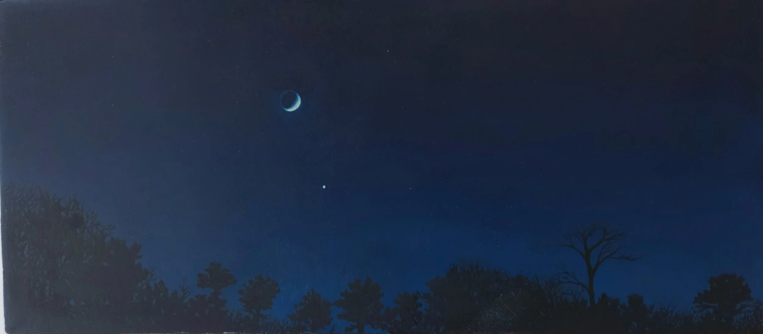 Planet, oil on panel, 6 x 13.5", 2009