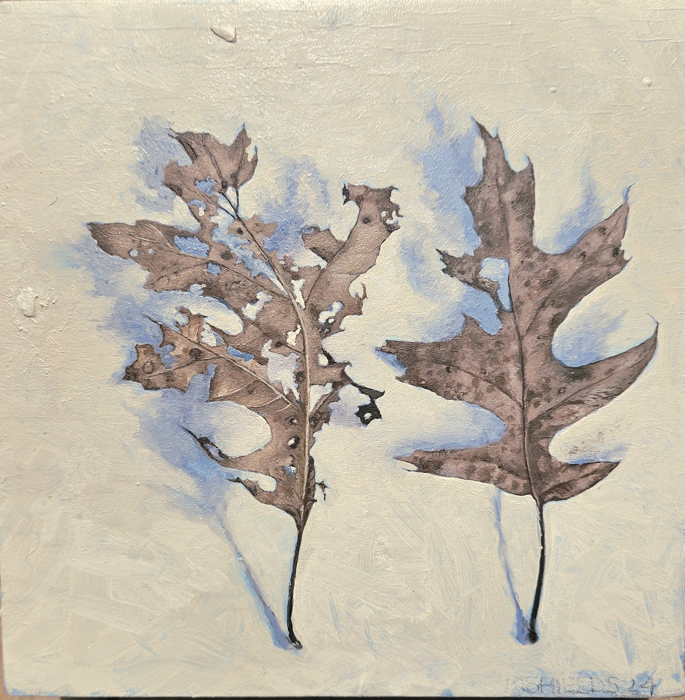 Two Oak Leaves 
oil on panel, 8 x8" 2025