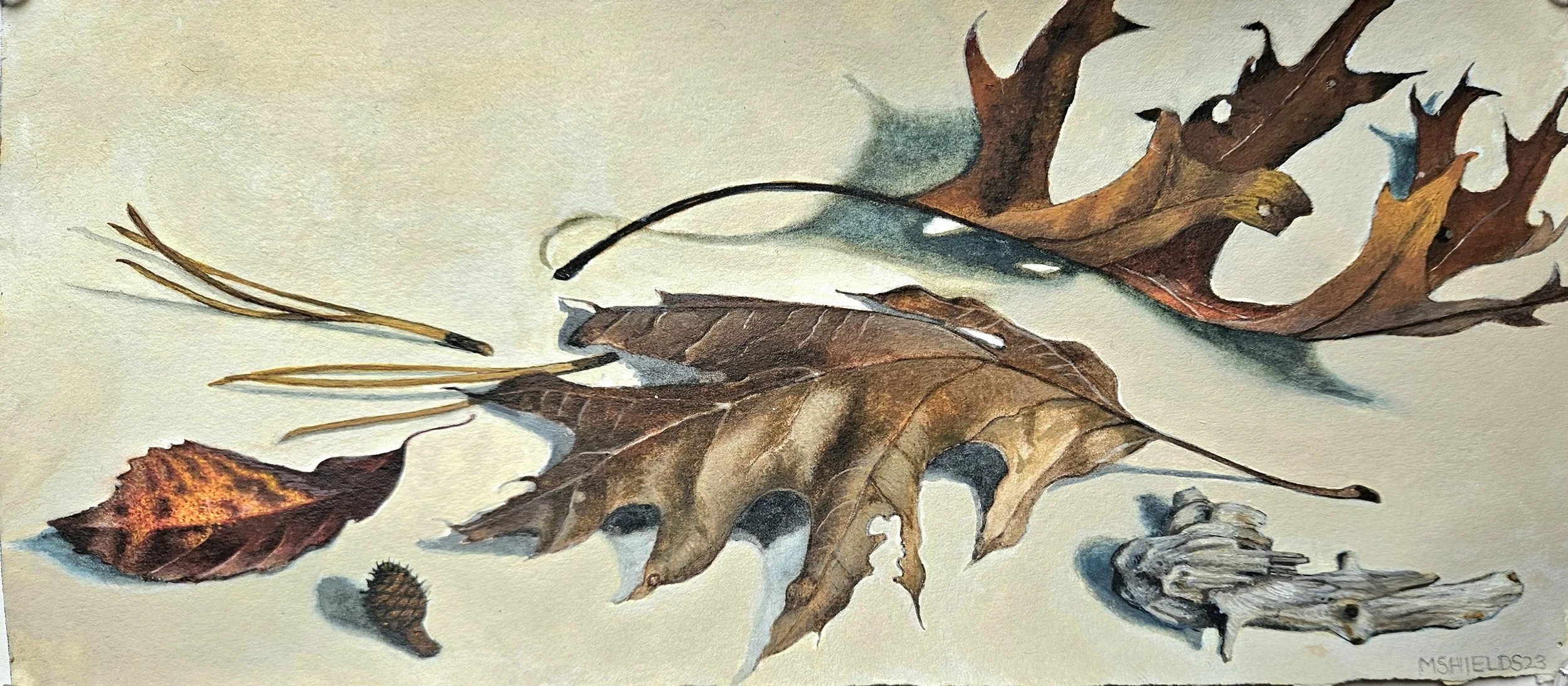 Pine needles, bit of wood, watercolor, 8 x 13", 2023