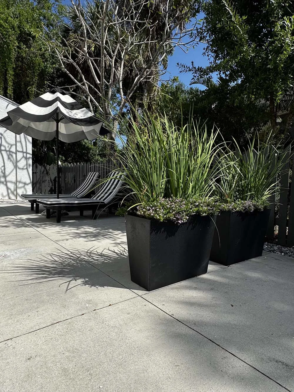 A backyard patio with two striped lounge chairs, a black and white striped umbrella, and large potted plants with tall green grass. Shadow of the umbrella is cast on the concrete ground, with trees and clear blue sky in the background.