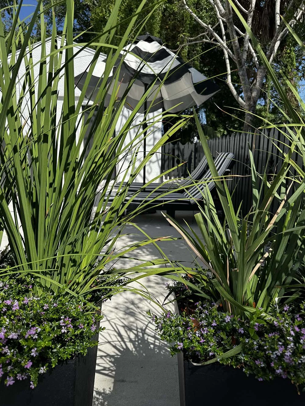 A backyard patio with potted plants, tall green grasses, purple flowers, a striped lounge chair, a striped umbrella, and a fence. There are trees and blue sky in the background.