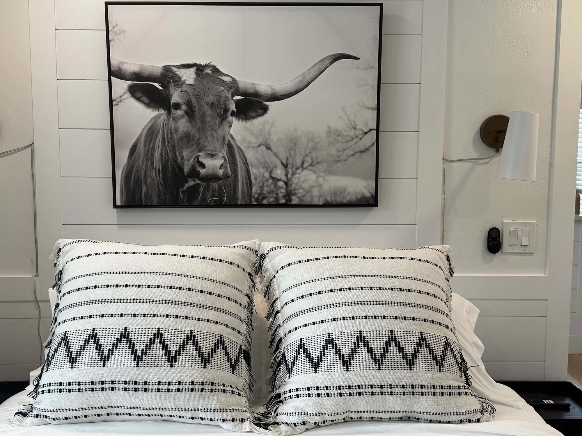 A black and white framed photograph of a longhorn steer hangs above a bed with two pillows with black and white geometric patterns in a bedroom with white walls.
