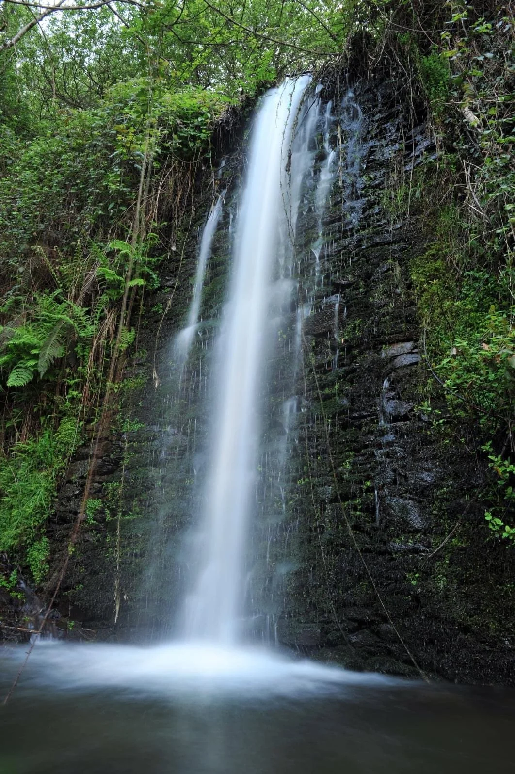 Cascata big.JPG