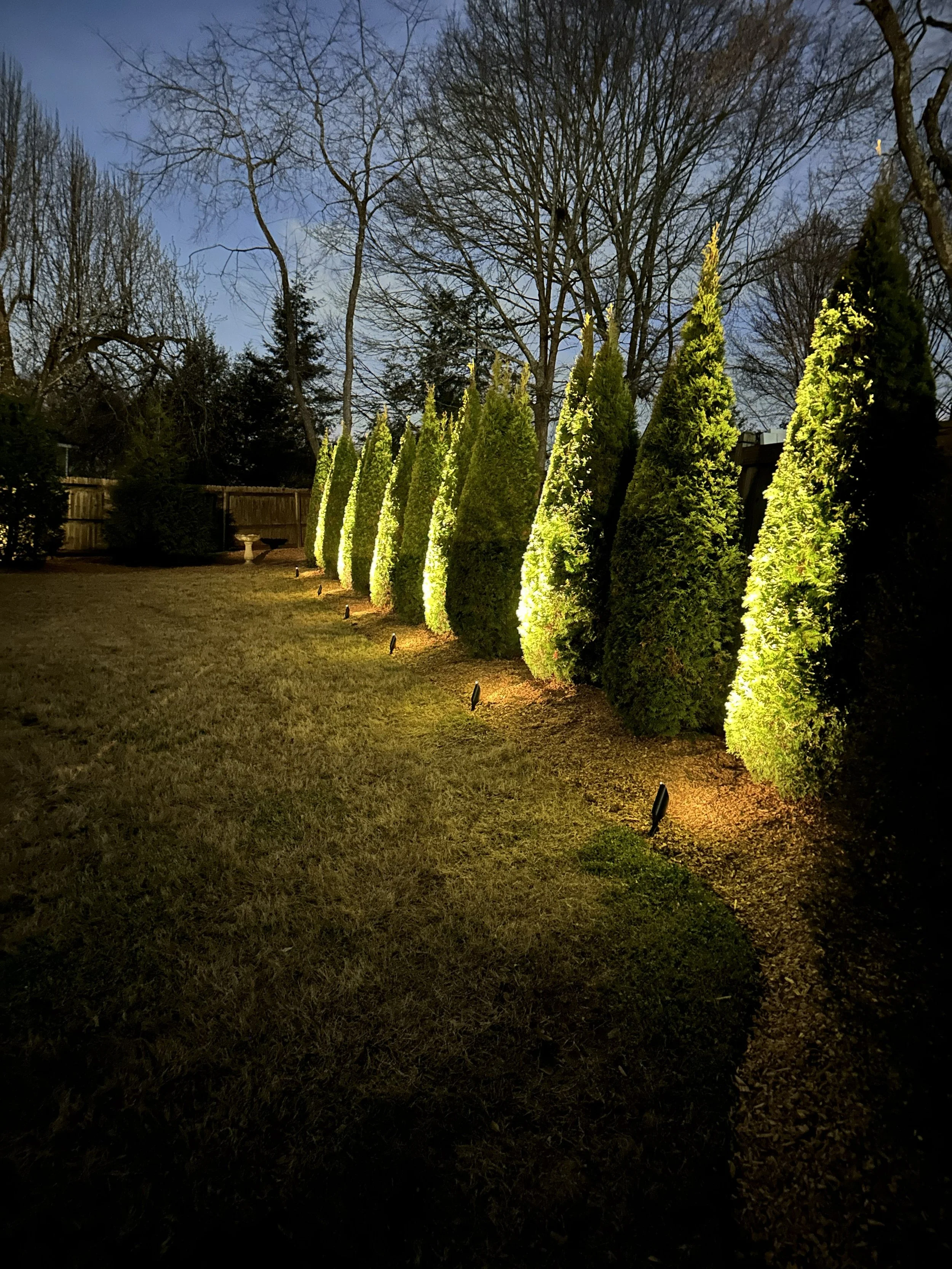 The Power of an Evening Demo: A Roswell Home’s Lighting Transformation