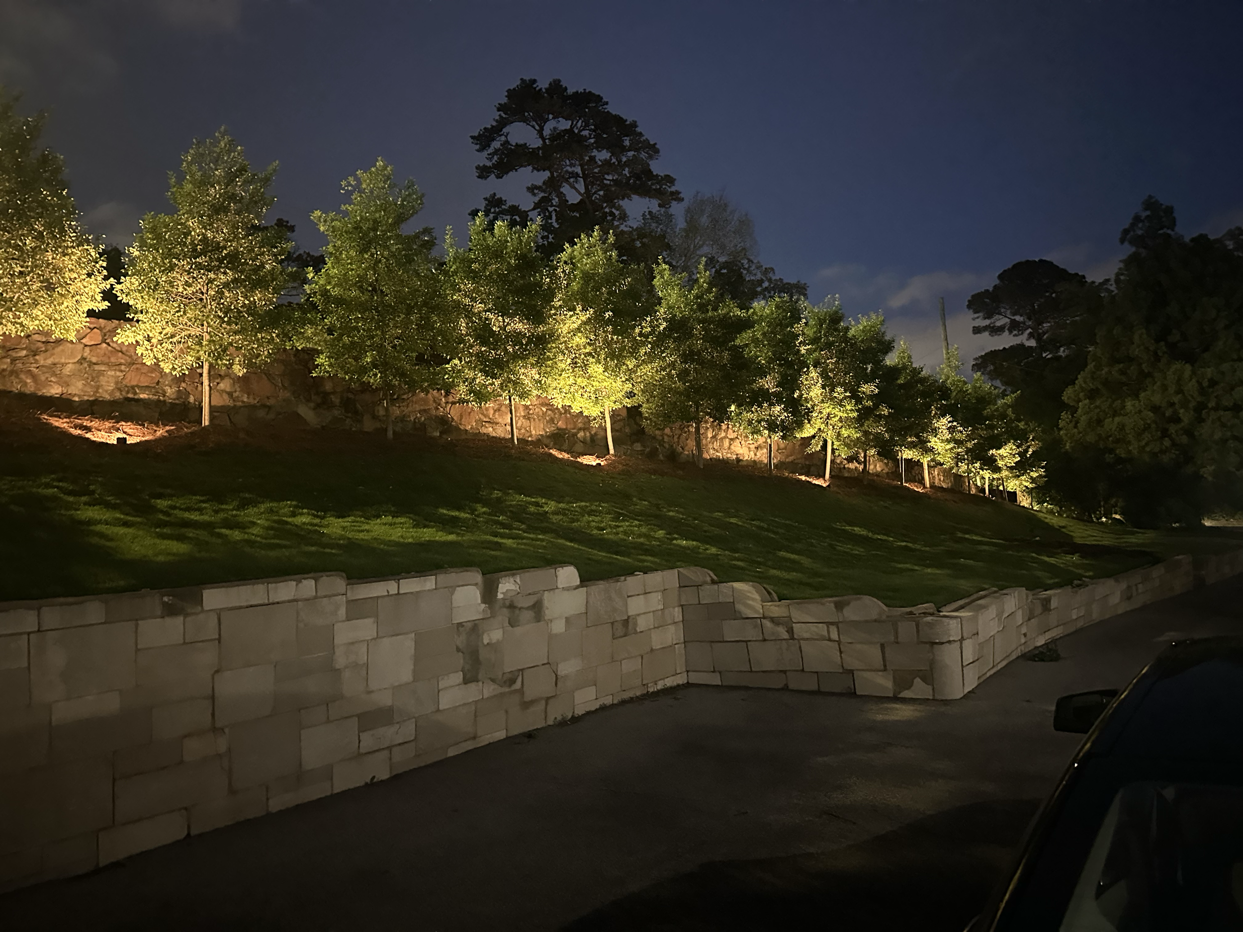 Outdoor lights for trees. Outdoor lights for backyard. Outdoor light installation. North Atlanta lighting company