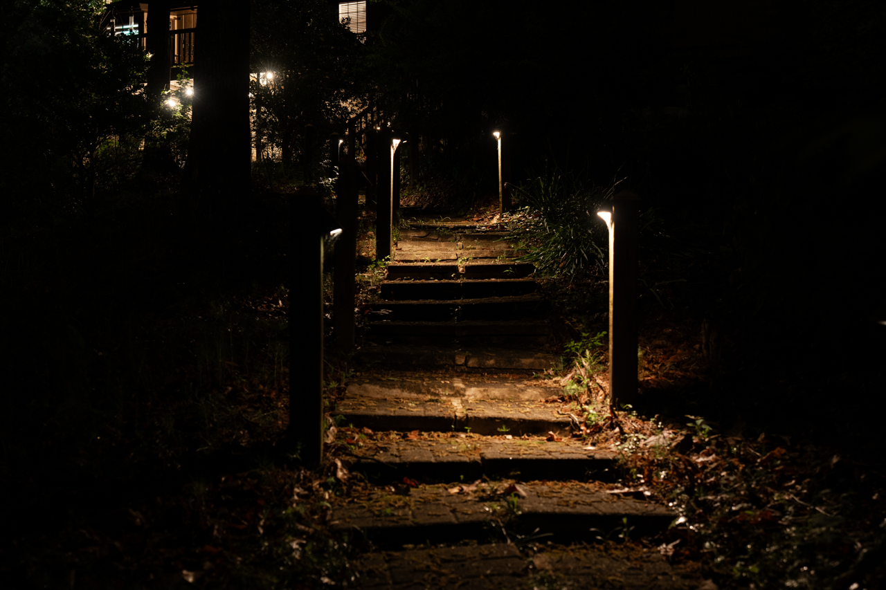 Outdoor path lighting. Permanent outdoor lighting. Lighting for outdoor stairs. House lighting company Atlanta. Outdoor light fixtures
