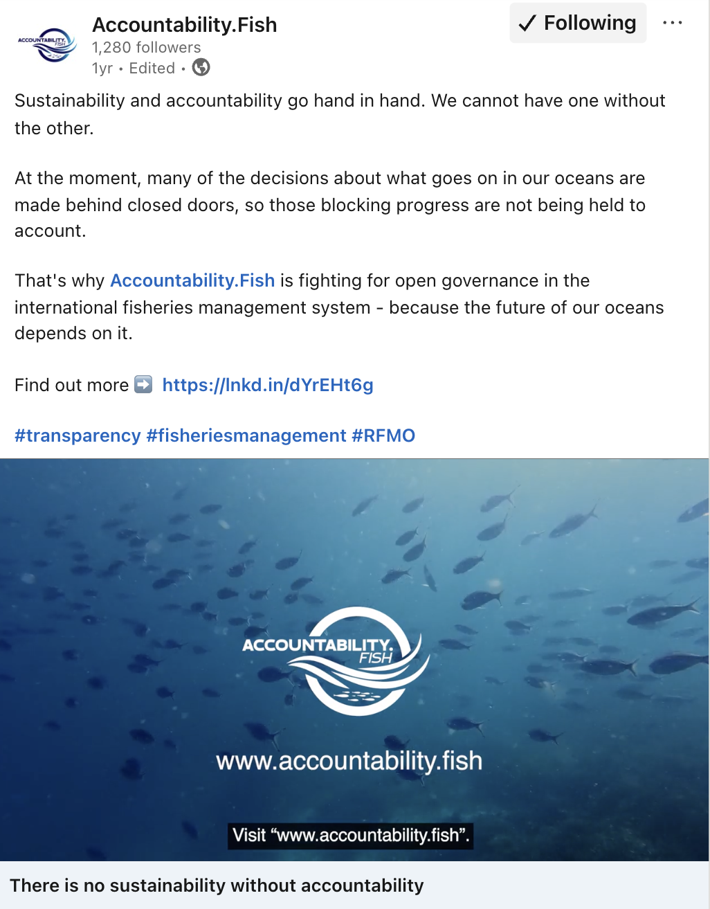 A screenshot of a social media post shared by Accountability.fish. The image features a still from a video showing the logo against an underwater scene.