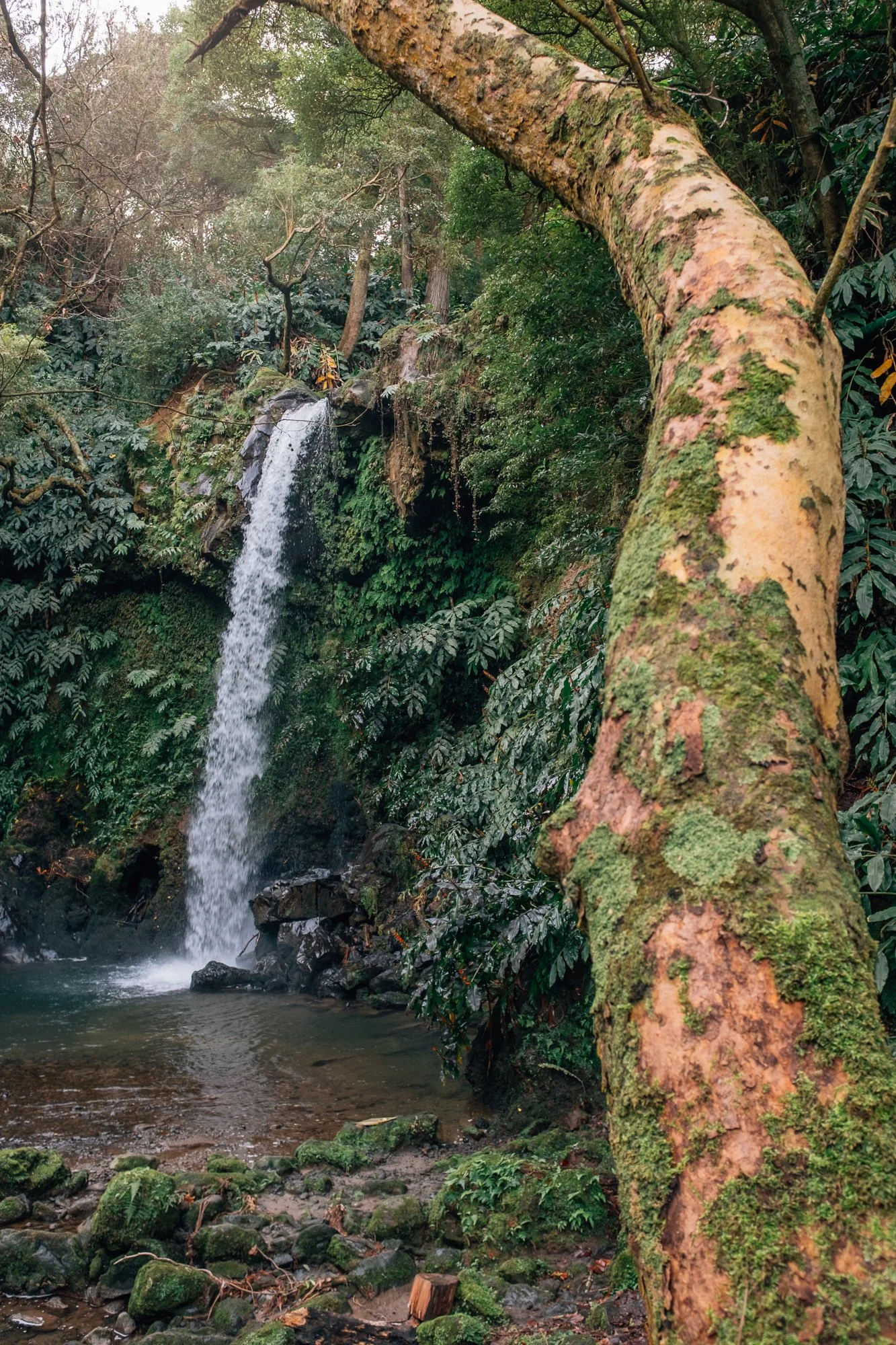 
Cascata do Teófilo