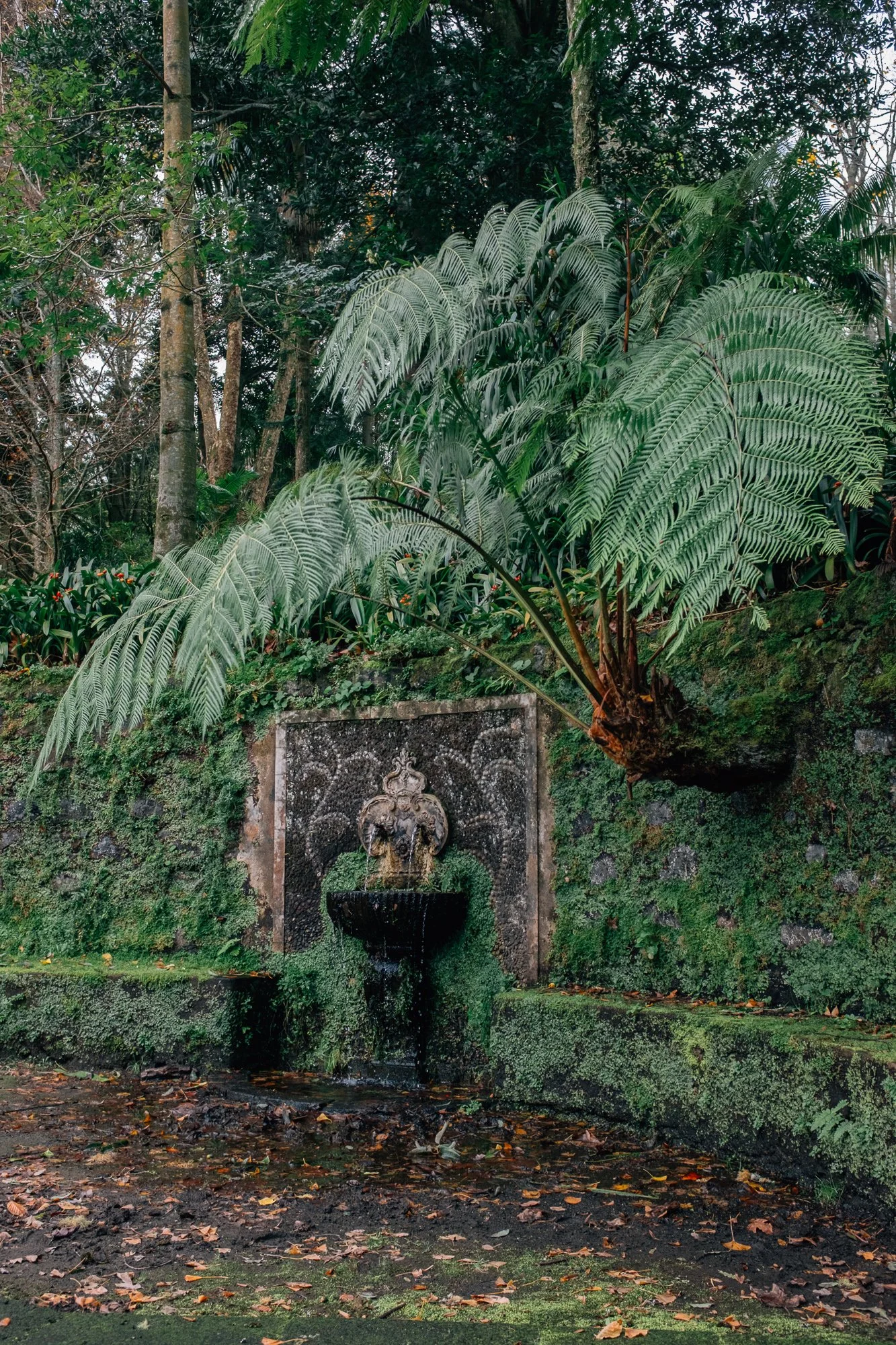 The Lovers’ Fountain (Fonte dos Amores)