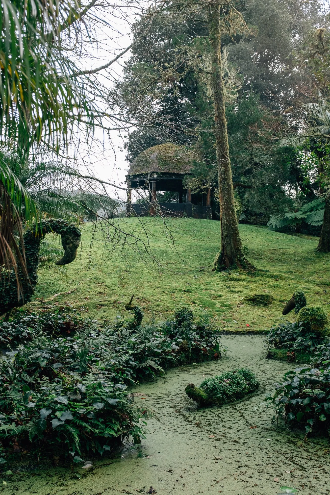 Terra Nostra Botanical Garden, Furnas. Historic 18th‑century estate turned hotel, featuring exotic and native plants alongside geothermal hot springs.