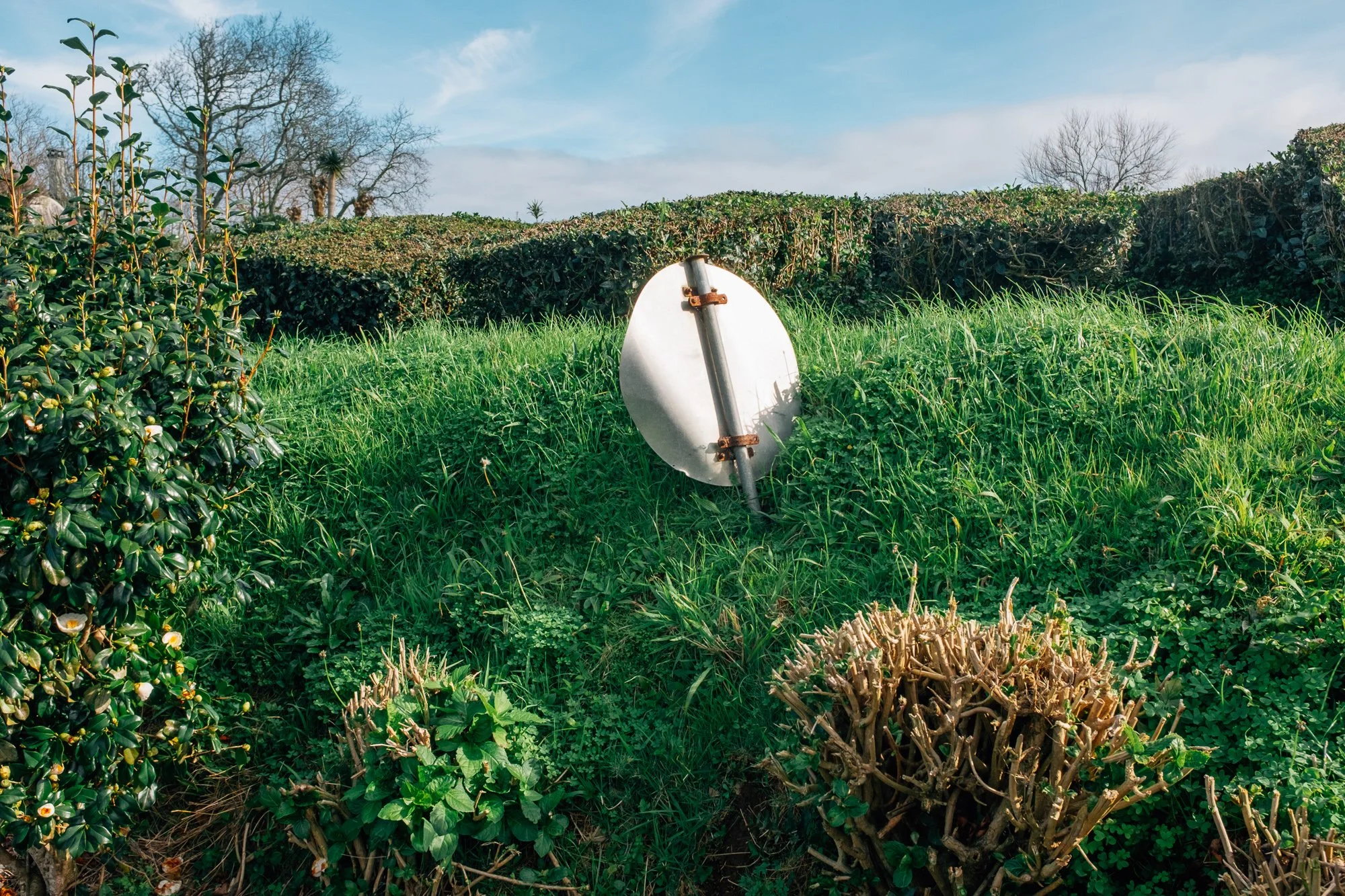Gorreana Tea Plantation. Europe’s only tea plantation, established in 1883.