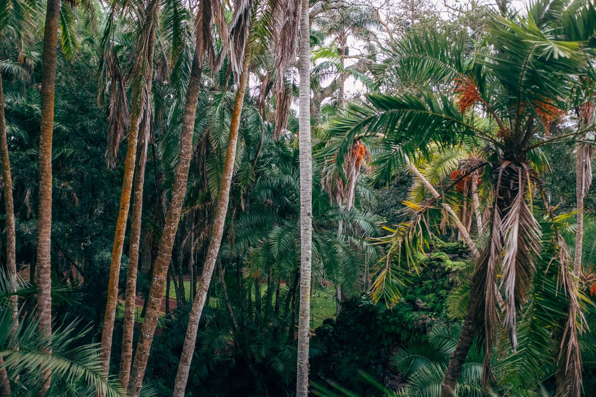 Jardim Botânico António Borges. 19th‑century romantic garden, blending native and exotic plants with ponds, caves, and bridges.