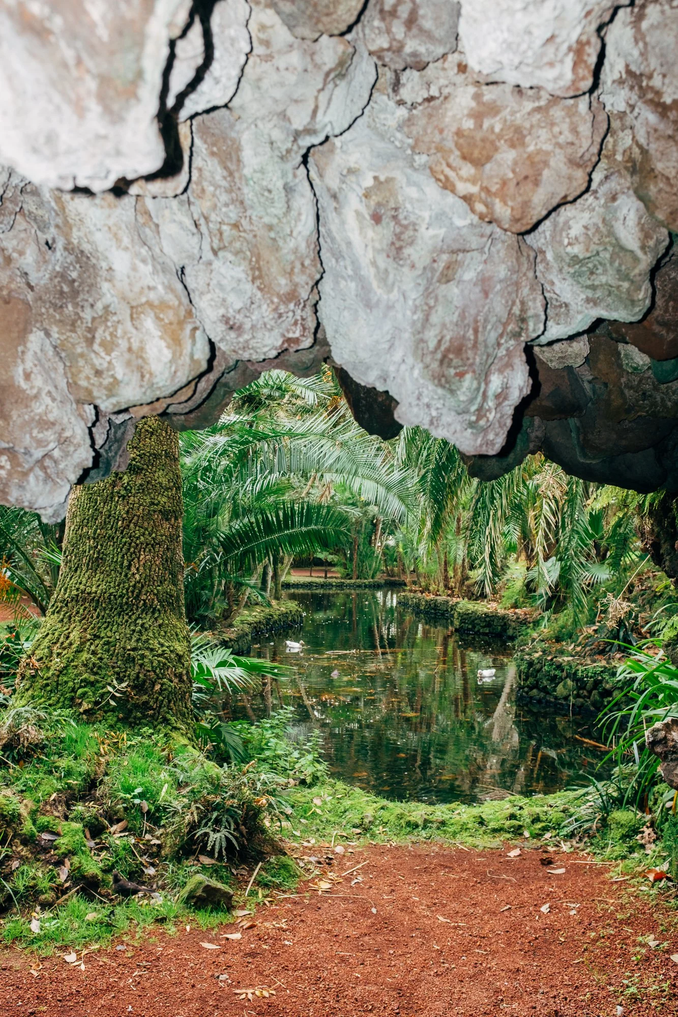 Jardim Botânico António Borges