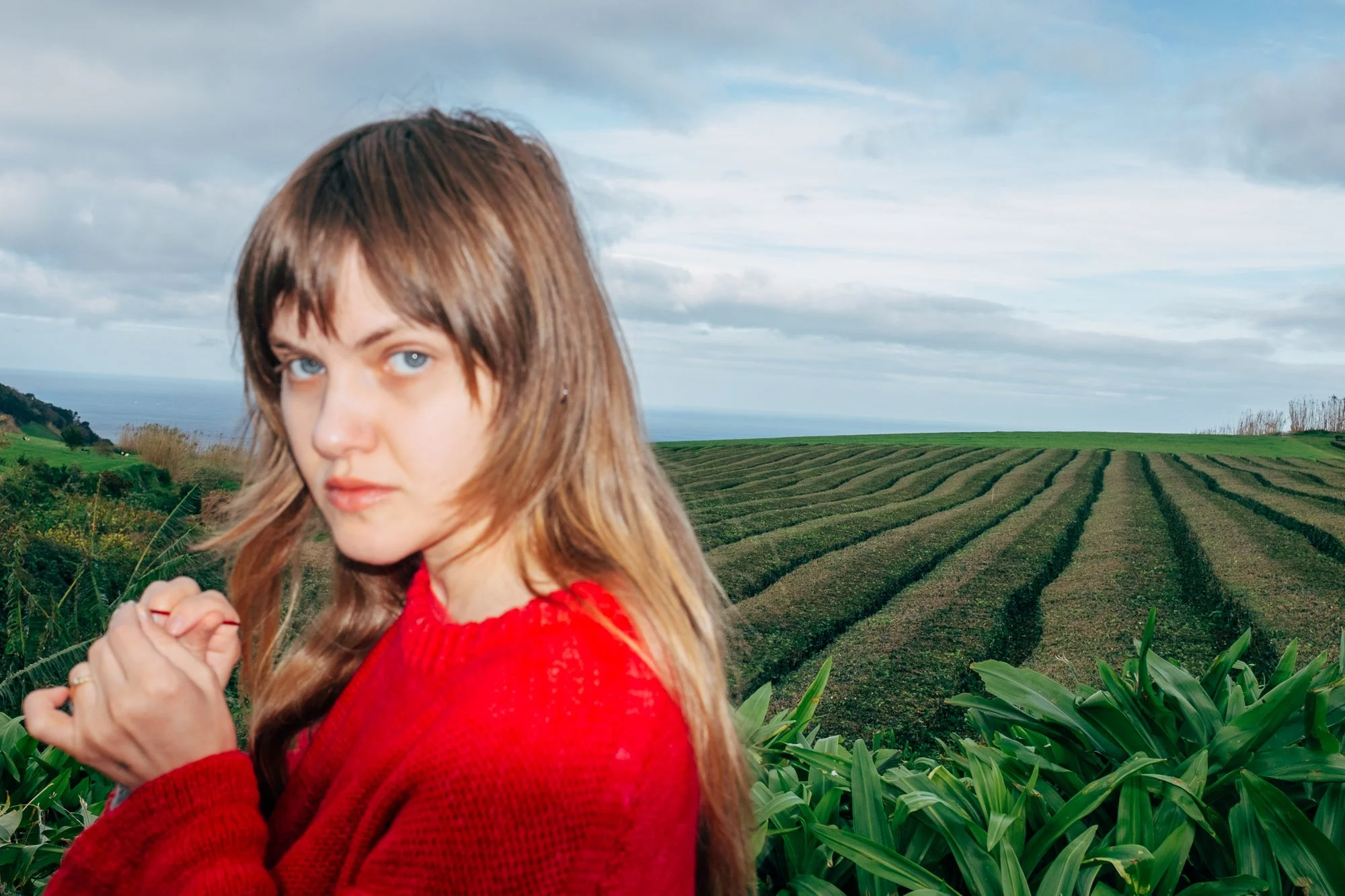 Gorreana Tea Plantation. Europe’s only tea plantation, established in 1883.