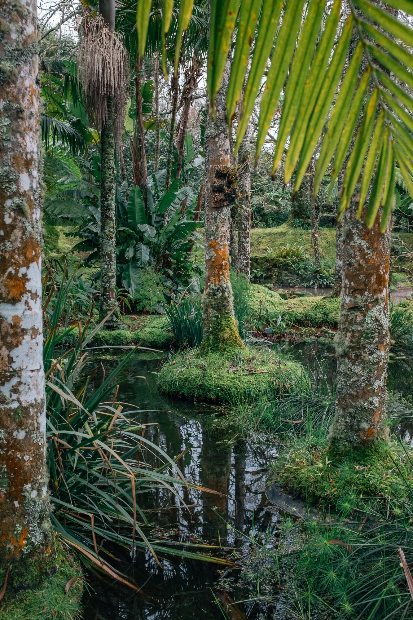 Terra Nostra Botanical Garden, Furnas. Historic 18th‑century estate turned hotel, featuring exotic and native plants alongside geothermal hot springs.