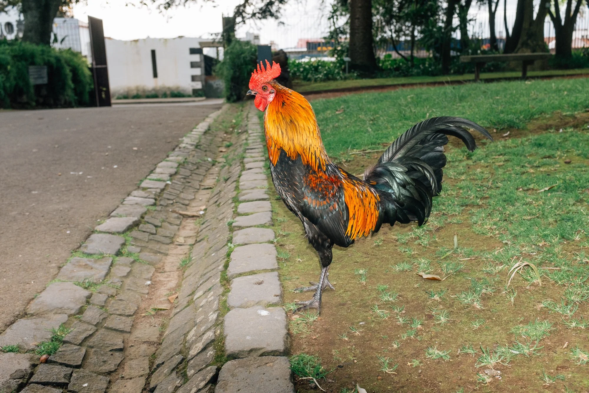Jardim Botânico António Borges