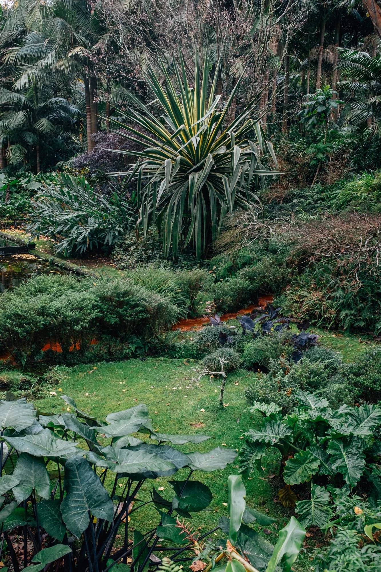 Terra Nostra Botanical Garden, Furnas. Historic 18th‑century estate turned hotel, featuring exotic and native plants alongside geothermal hot springs.