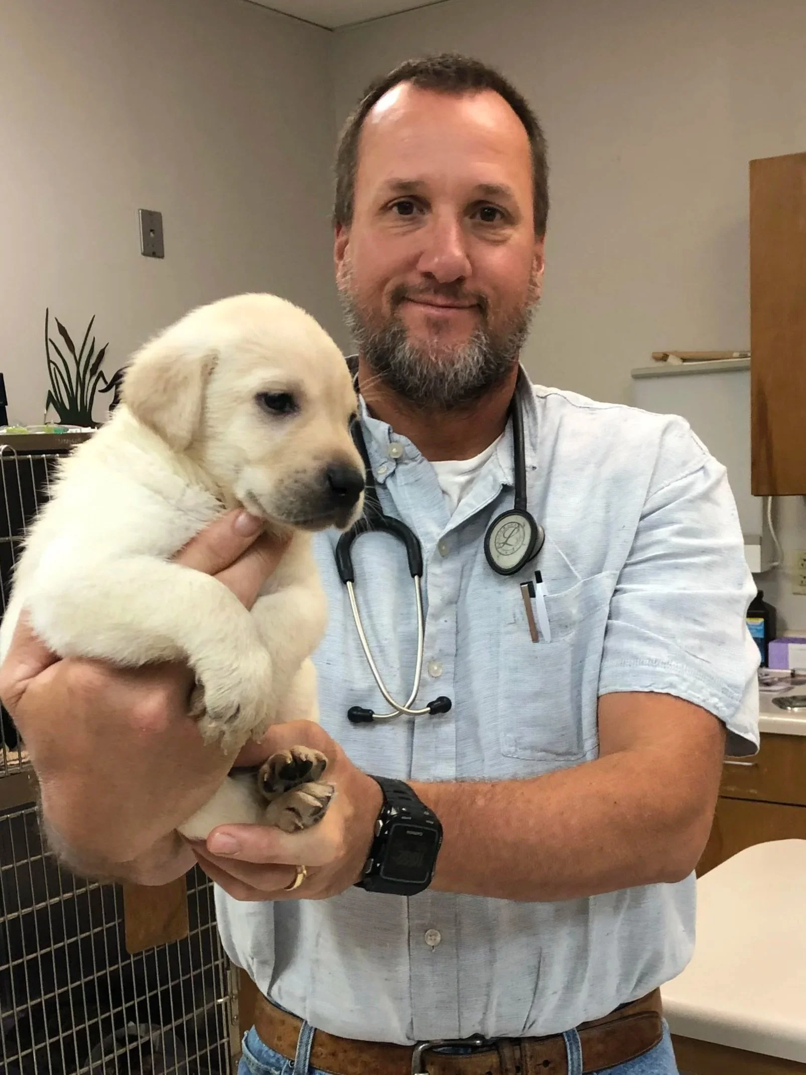 Team — Animal Health Center