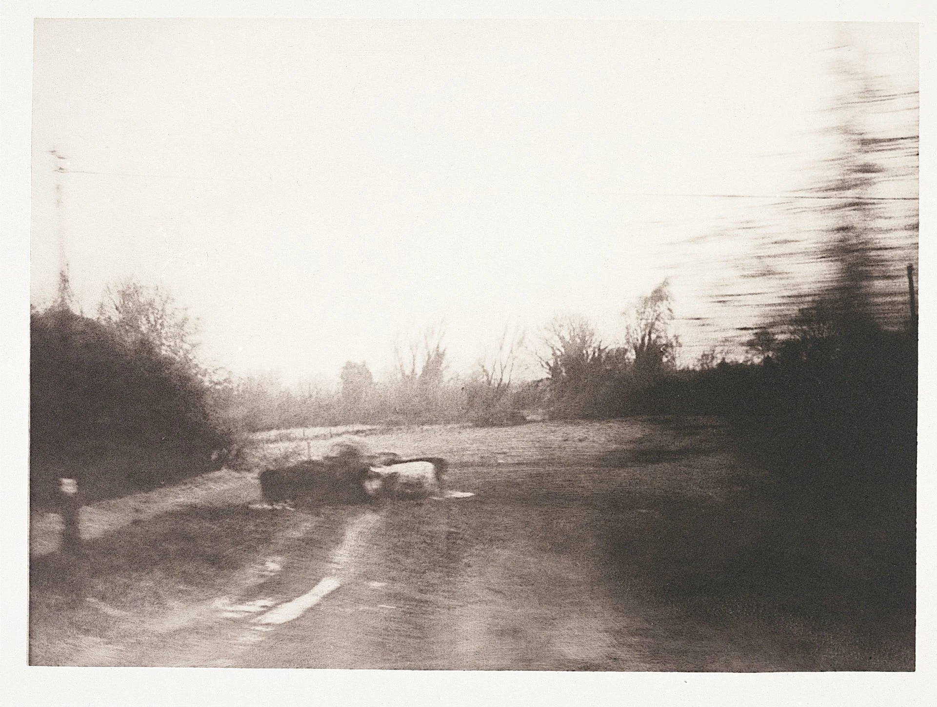 These Talking Walls (2001) x3.jpg