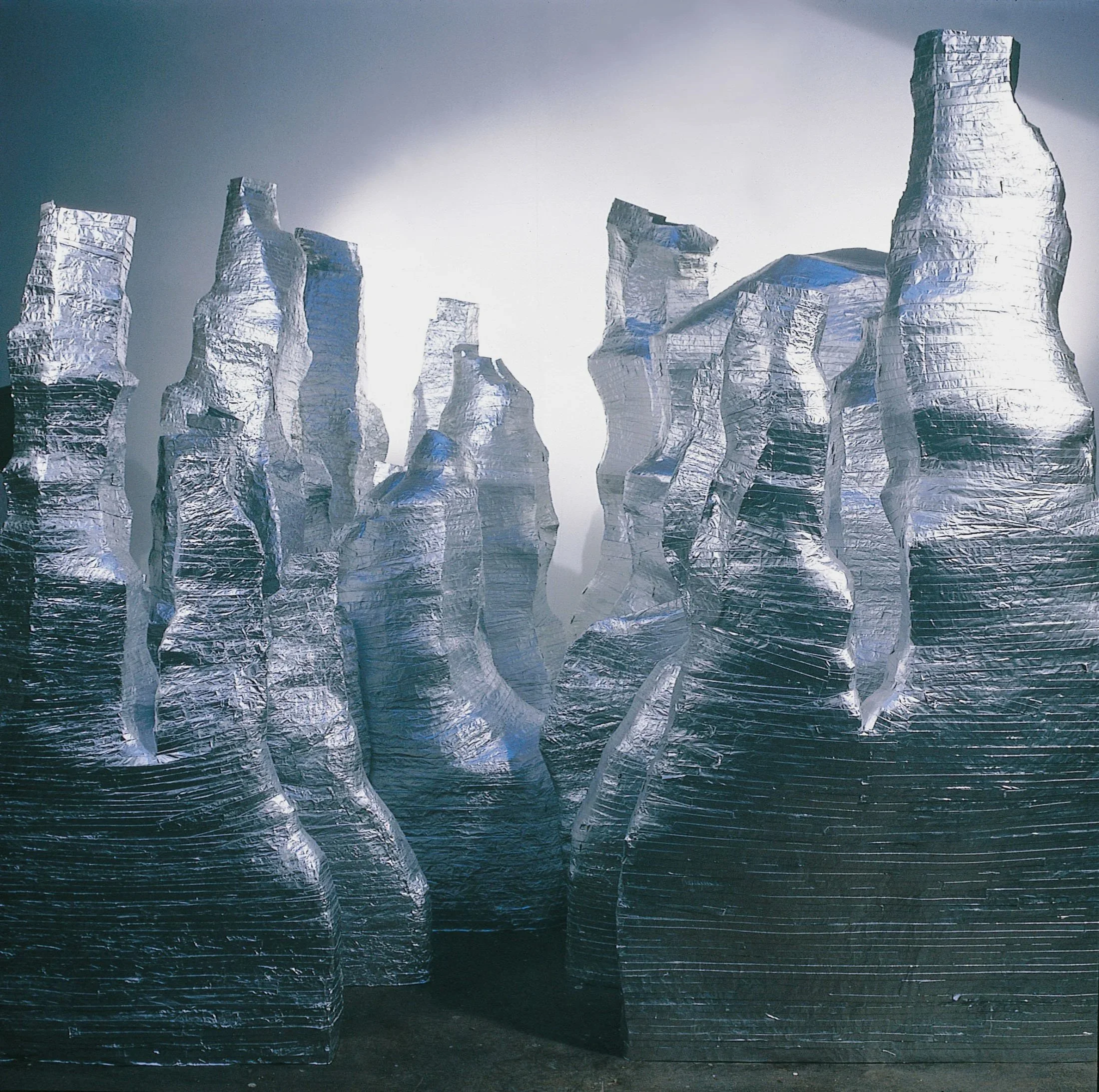  
DAPHNE WRIGHT 
 Indeed, Indeed, 1998  
 
Tin foil, glue and continuous loop tape