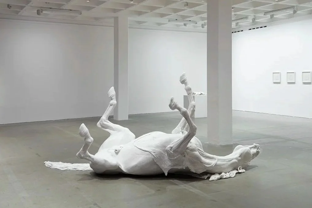  
DAPHNE WRIGHT  Stallion, 2009    Marble dust and resin  
