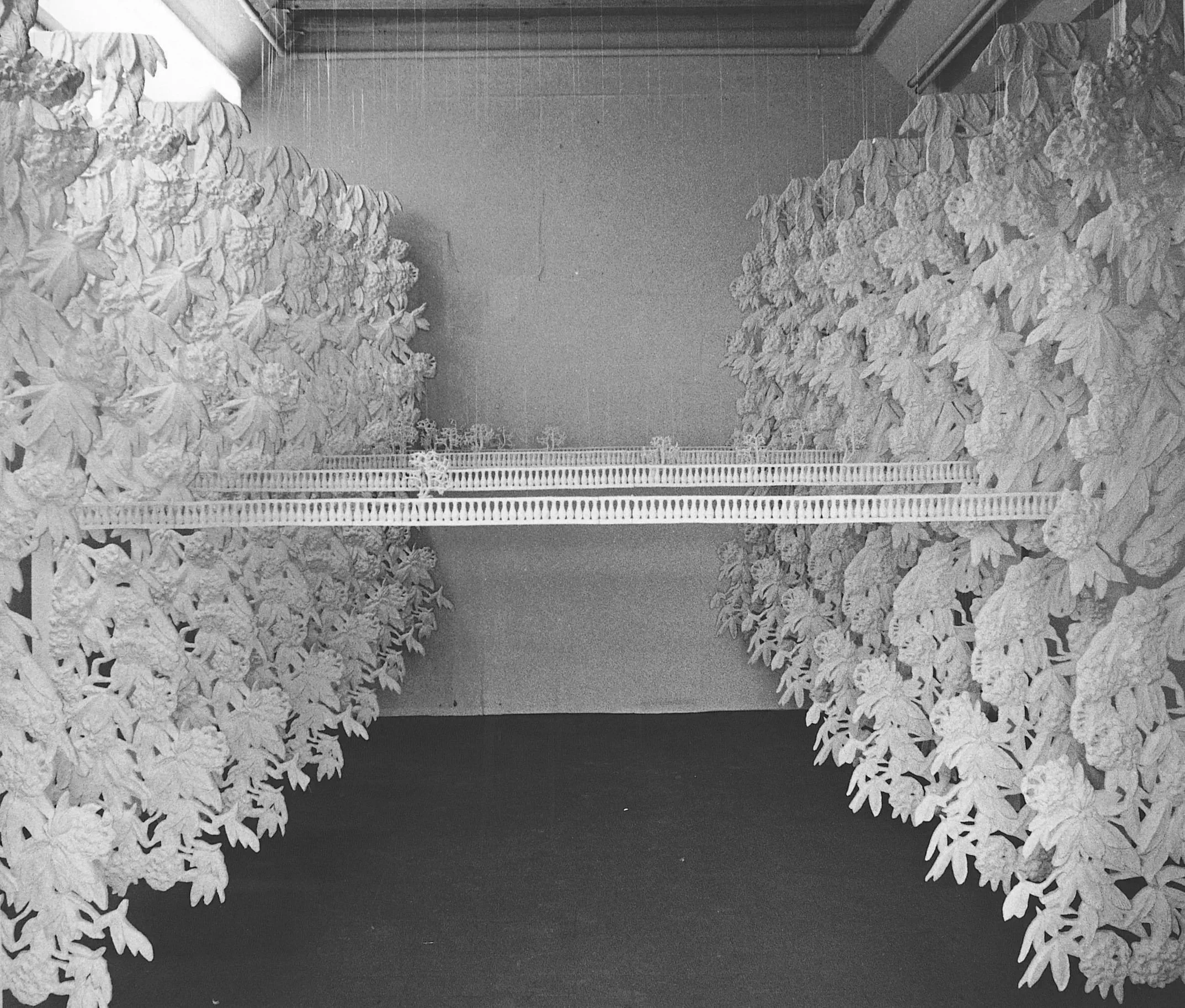  

   
   
 
DAPHNE WRIGHT  Looking for the Home of Sickness, 1992    Plaster, metal and audio  
   

  

     
       
     

     
     

   
 