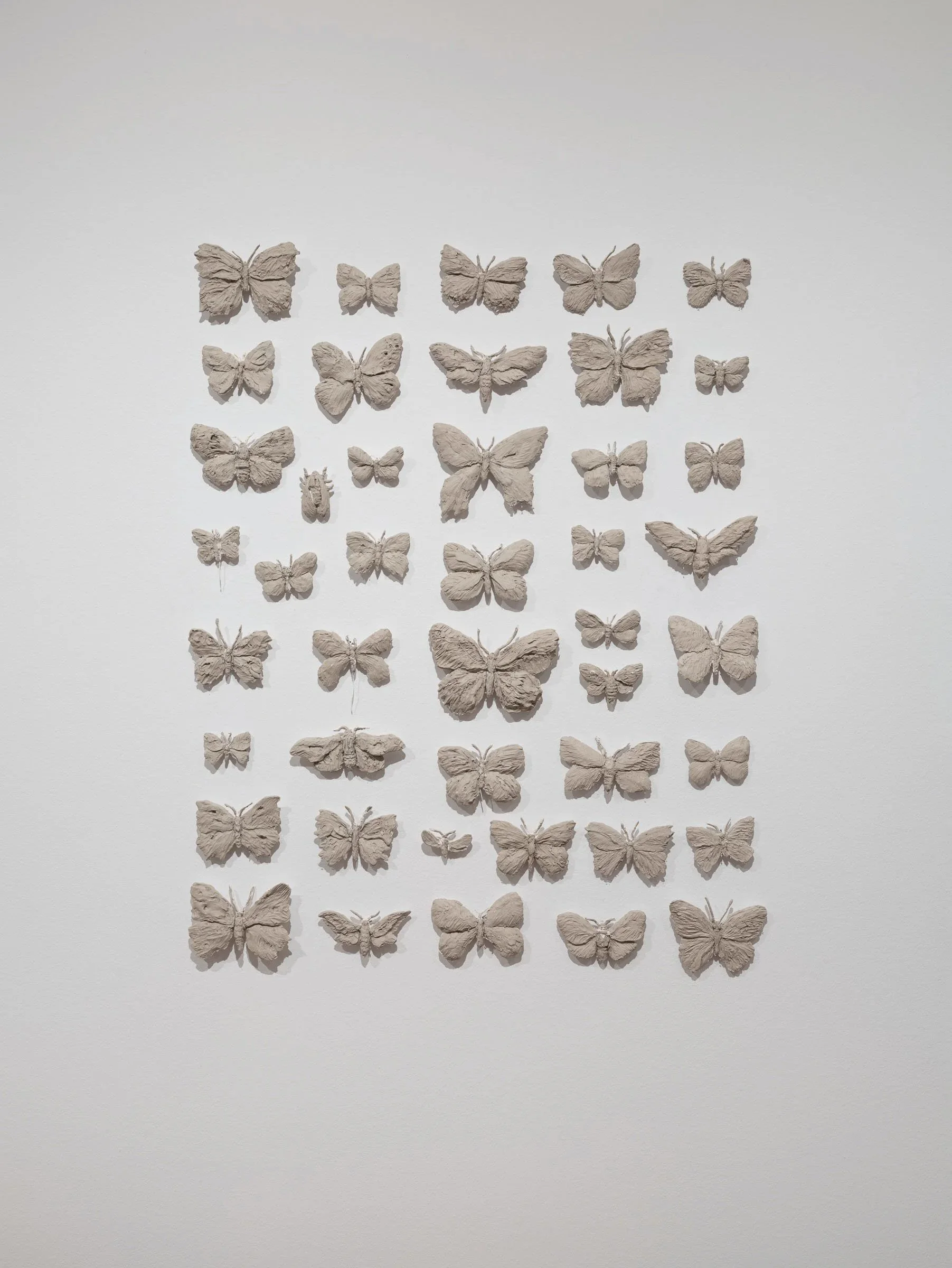  
DAPHNE WRIGHT  Butterflies, 2019    Mixed media  
